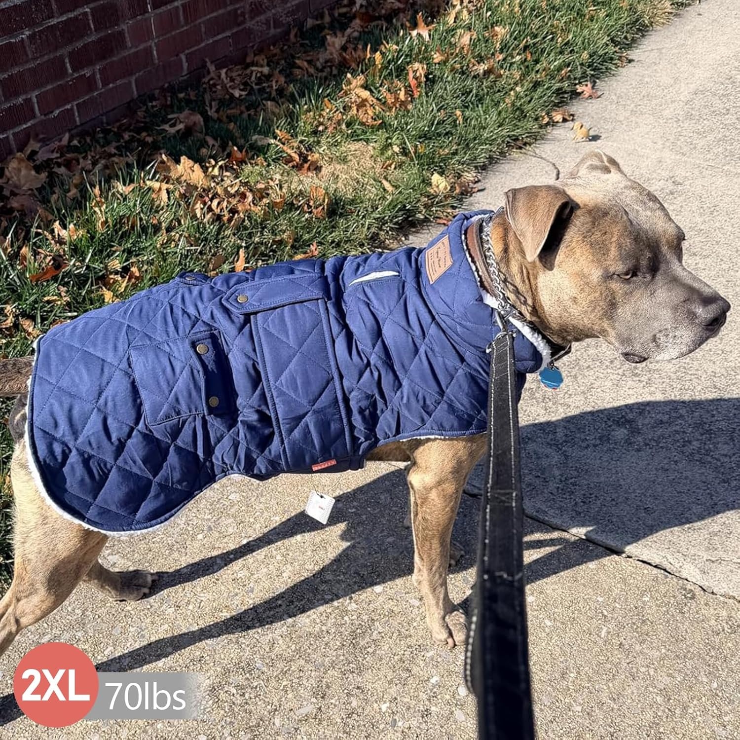 image:imageKYEESE Dog Coat Thick Pets Clothes with Pocket Windproof Dog Coats for Small Dogs Waterproof Dogs Jacket with Fleece Lined Warm Pet Winter Puffer Coat with Leash Hole Soft Pet Sweater for Cold Weather01 Blue