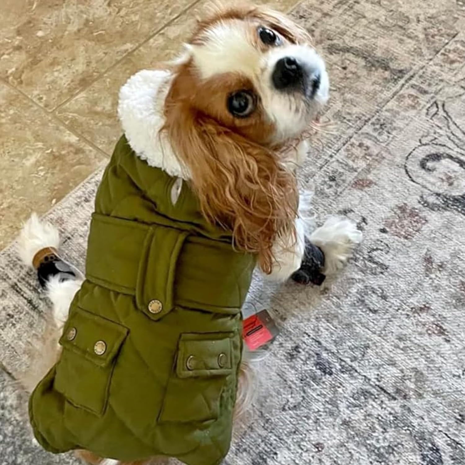 image:imageKYEESE Dog Coat Thick Pets Clothes with Pocket Windproof Dog Coats for Small Dogs Waterproof Dogs Jacket with Fleece Lined Warm Pet Winter Puffer Coat with Leash Hole Soft Pet Sweater for Cold Weather06 Army Green