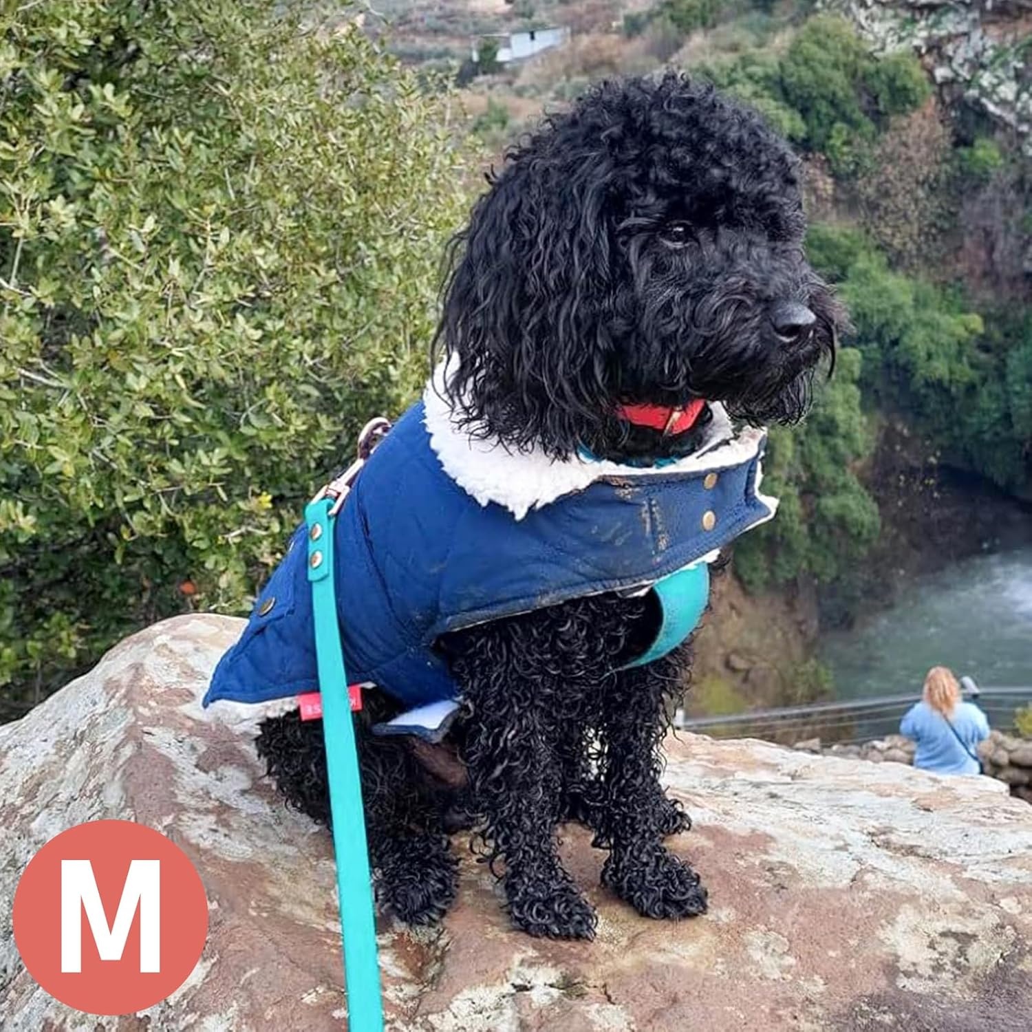 image:imageKYEESE Dog Coat Thick Pets Clothes with Pocket Windproof Dog Coats for Small Dogs Waterproof Dogs Jacket with Fleece Lined Warm Pet Winter Puffer Coat with Leash Hole Soft Pet Sweater for Cold Weather01 Blue