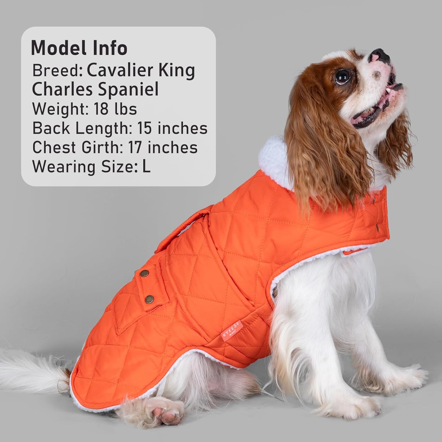 image:imageKYEESE Dog Coat Thick Pets Clothes with Pocket Windproof Dog Coats for Small Dogs Waterproof Dogs Jacket with Fleece Lined Warm Pet Winter Puffer Coat with Leash Hole Soft Pet Sweater for Cold Weather05Orange