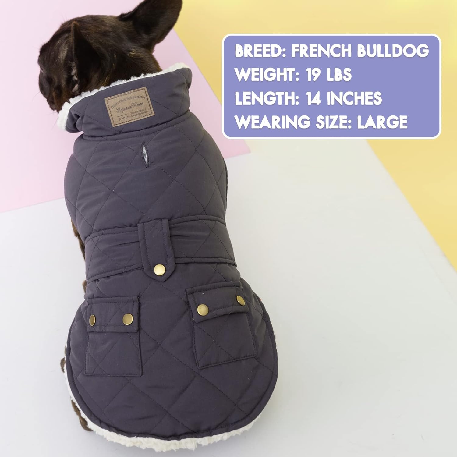 image:imageKYEESE Dog Coat Thick Pets Clothes with Pocket Windproof Dog Coats for Small Dogs Waterproof Dogs Jacket with Fleece Lined Warm Pet Winter Puffer Coat with Leash Hole Soft Pet Sweater for Cold Weather03 Gray