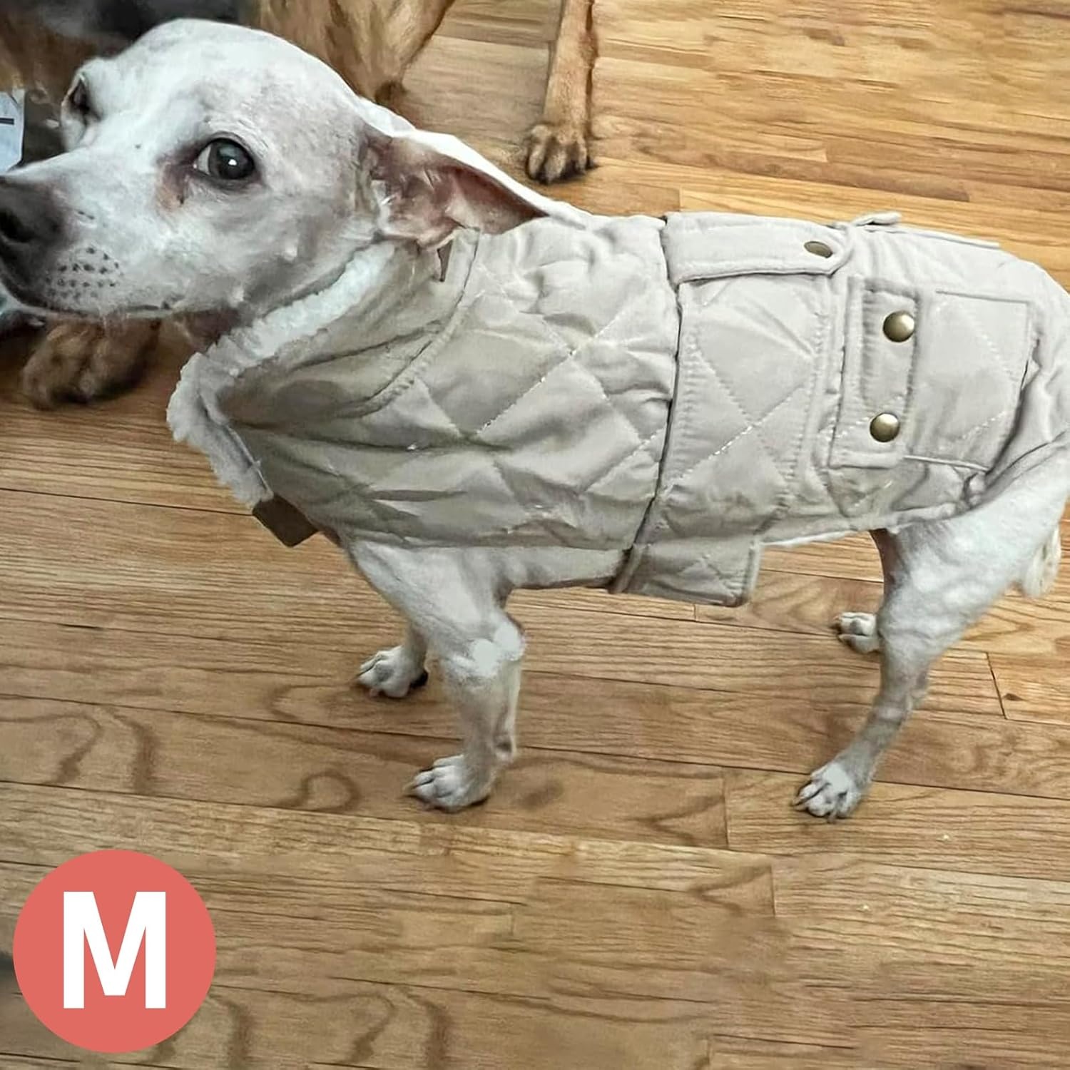 image:imageKYEESE Dog Coat Thick Pets Clothes with Pocket Windproof Dog Coats for Small Dogs Waterproof Dogs Jacket with Fleece Lined Warm Pet Winter Puffer Coat with Leash Hole Soft Pet Sweater for Cold Weather07 Beige