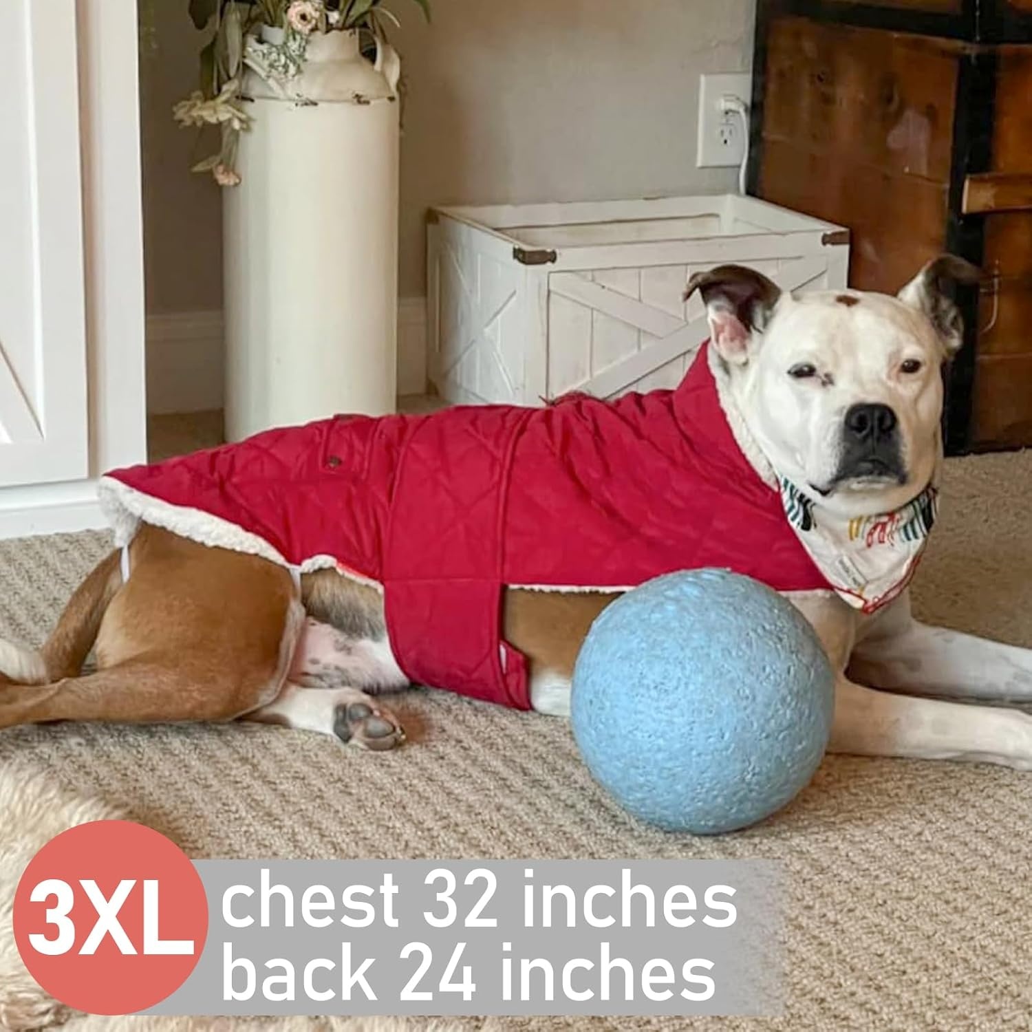 image:imageKYEESE Dog Coat Thick Pets Clothes with Pocket Windproof Dog Coats for Small Dogs Waterproof Dogs Jacket with Fleece Lined Warm Pet Winter Puffer Coat with Leash Hole Soft Pet Sweater for Cold Weather02 Red
