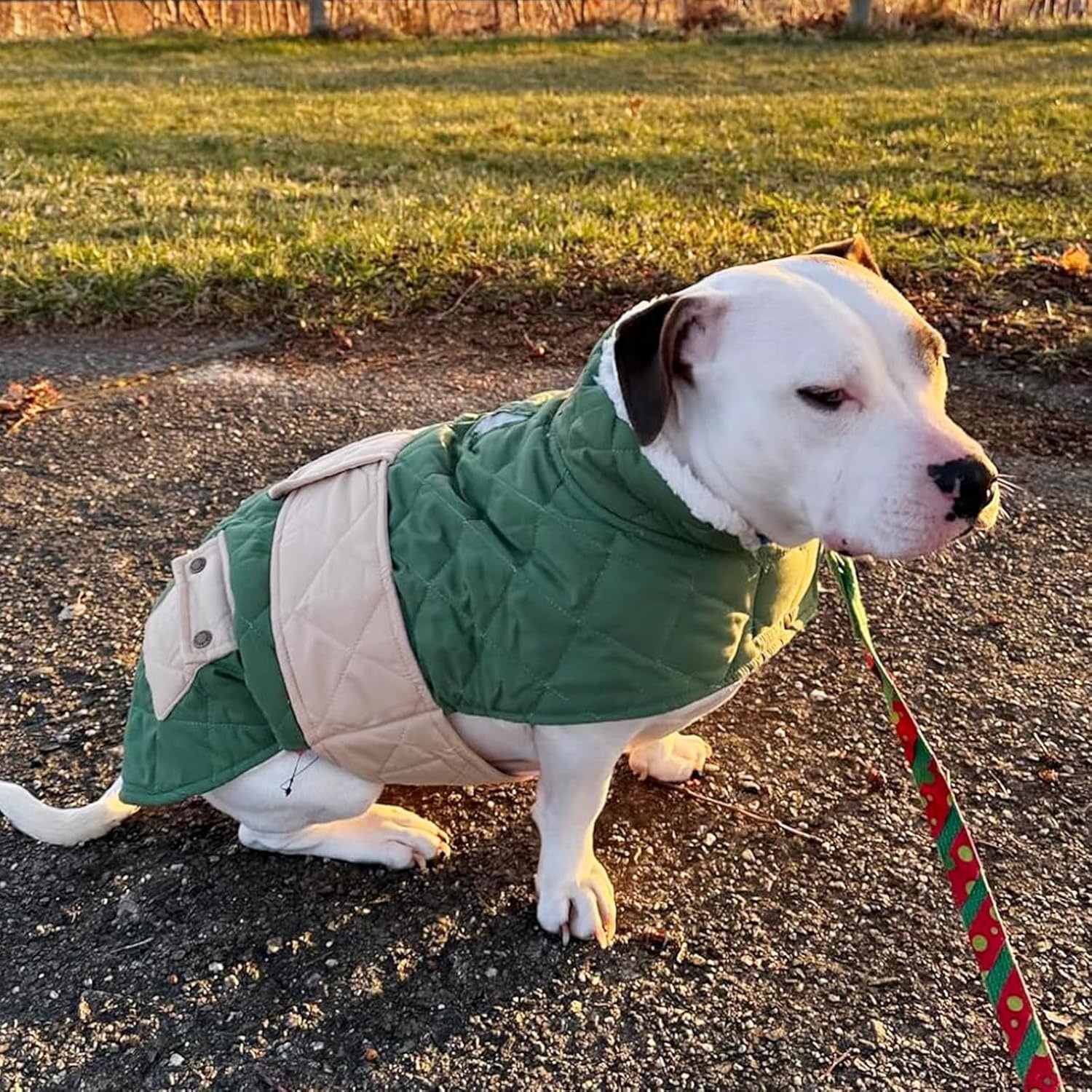 image:imageKYEESE Dog Coat Thick Pets Clothes with Pocket Windproof Dog Coats for Small Dogs Waterproof Dogs Jacket with Fleece Lined Warm Pet Winter Puffer Coat with Leash Hole Soft Pet Sweater for Cold Weather11 Green