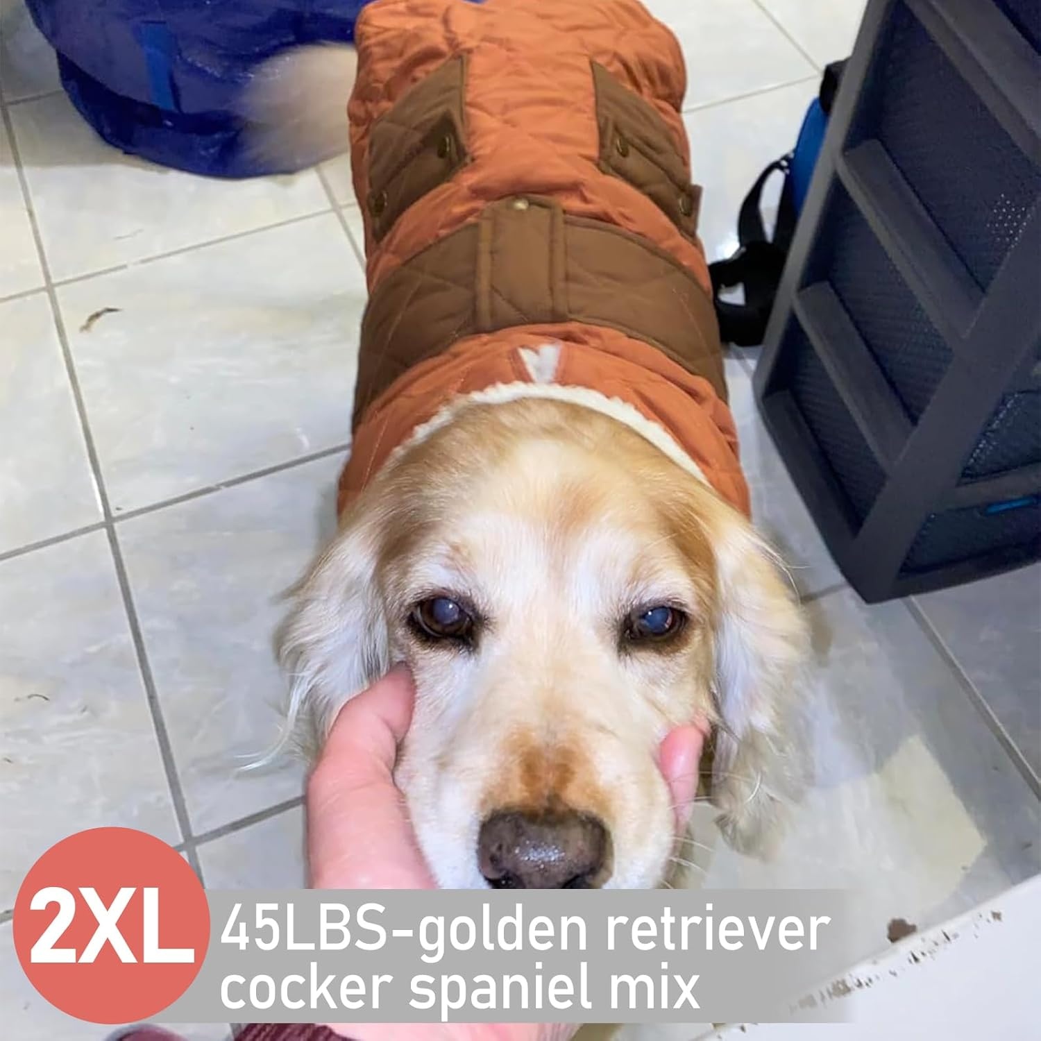 image:imageKYEESE Dog Coat Thick Pets Clothes with Pocket Windproof Dog Coats for Small Dogs Waterproof Dogs Jacket with Fleece Lined Warm Pet Winter Puffer Coat with Leash Hole Soft Pet Sweater for Cold Weather09 Brown