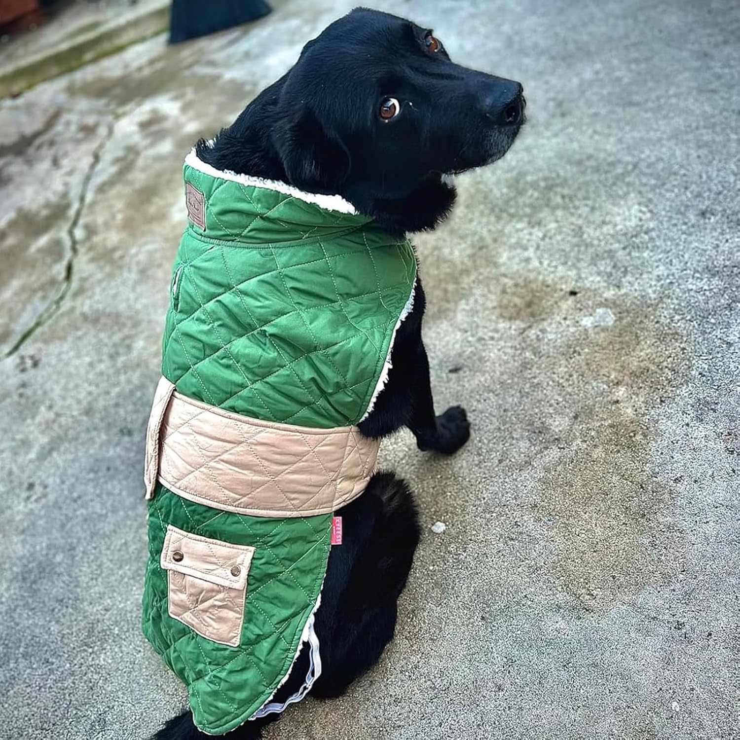 image:imageKYEESE Dog Coat Thick Pets Clothes with Pocket Windproof Dog Coats for Small Dogs Waterproof Dogs Jacket with Fleece Lined Warm Pet Winter Puffer Coat with Leash Hole Soft Pet Sweater for Cold Weather11 Green
