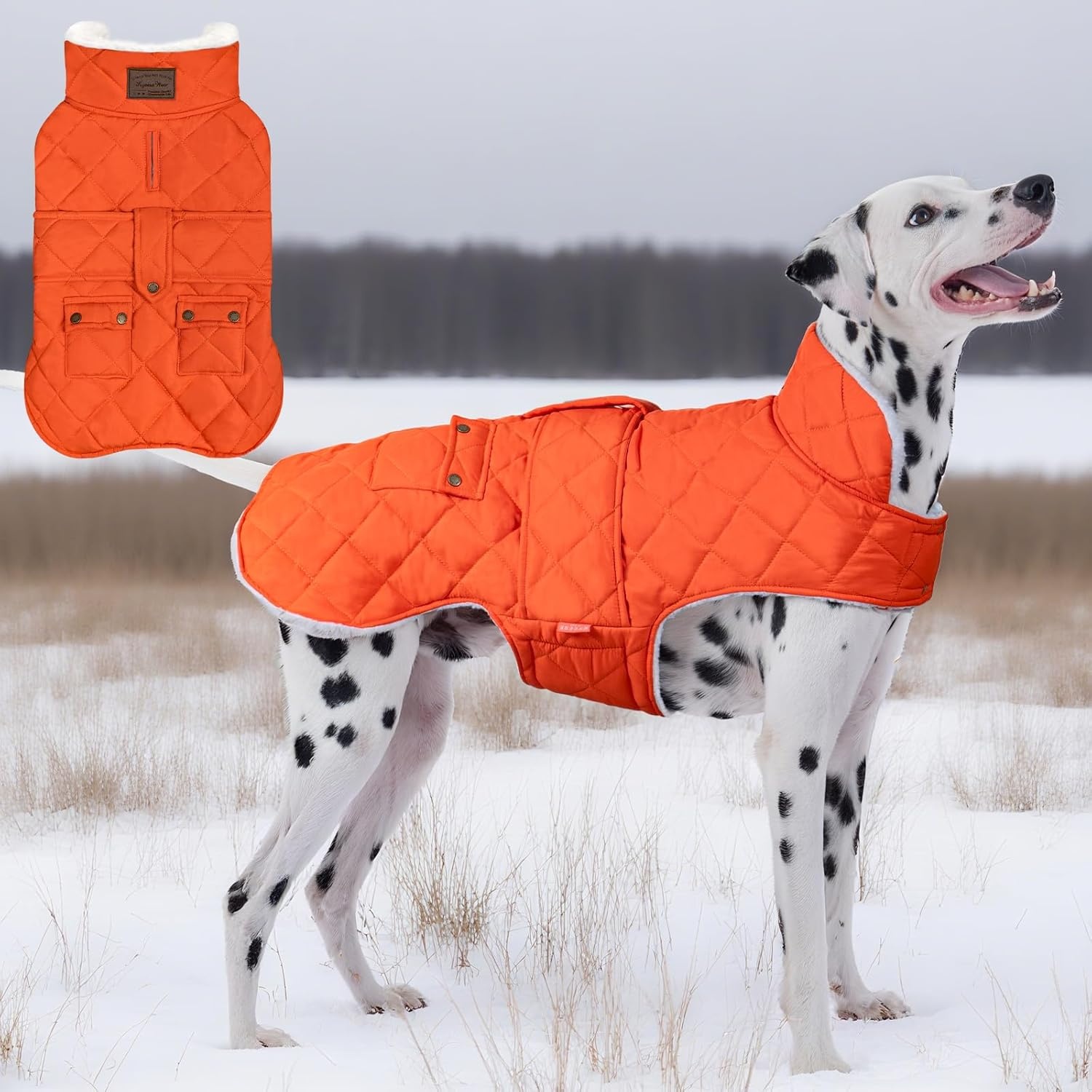 image:imageKYEESE Dog Coat Thick Pets Clothes with Pocket Windproof Dog Coats for Small Dogs Waterproof Dogs Jacket with Fleece Lined Warm Pet Winter Puffer Coat with Leash Hole Soft Pet Sweater for Cold Weather05Orange