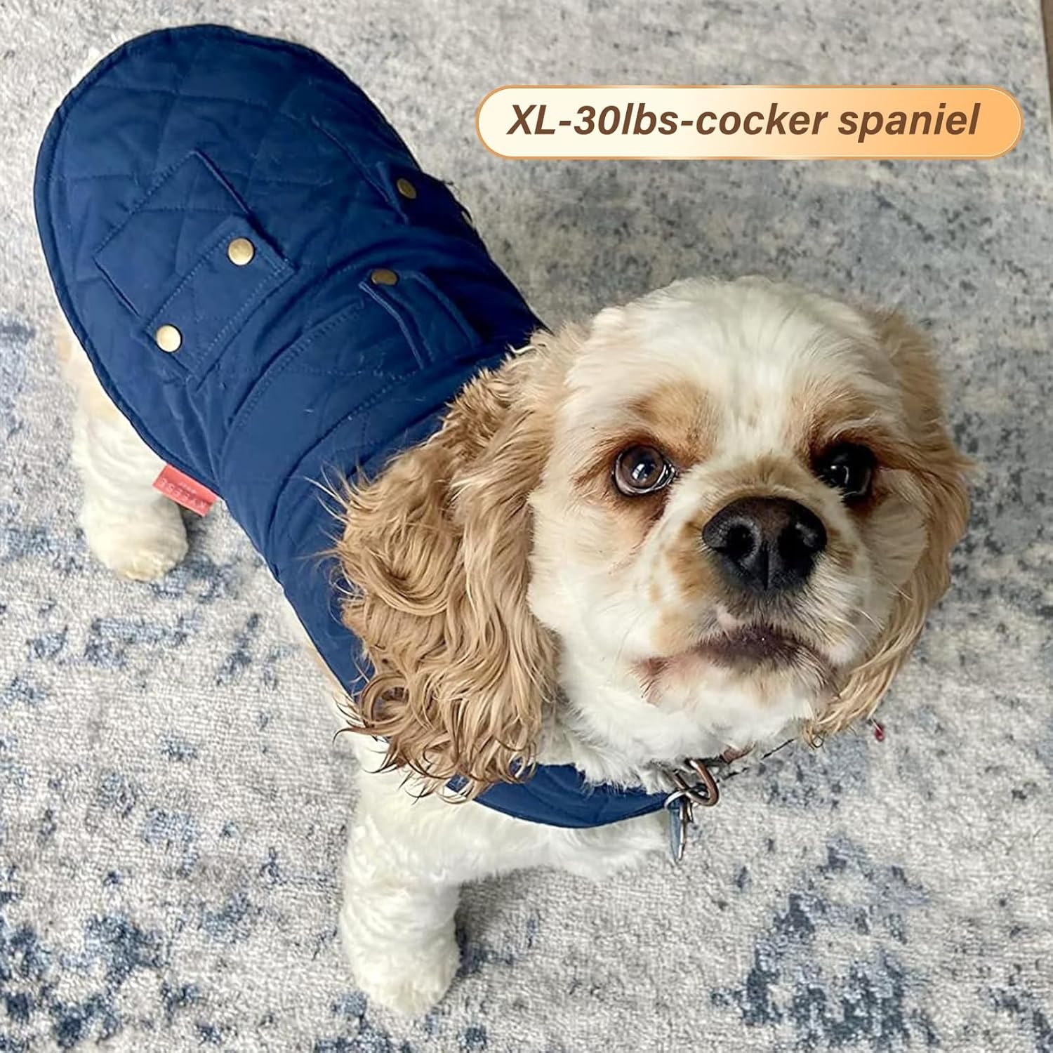 image:imageKYEESE Dog Coat Thick Pets Clothes with Pocket Windproof Dog Coats for Small Dogs Waterproof Dogs Jacket with Fleece Lined Warm Pet Winter Puffer Coat with Leash Hole Soft Pet Sweater for Cold Weather01 Blue