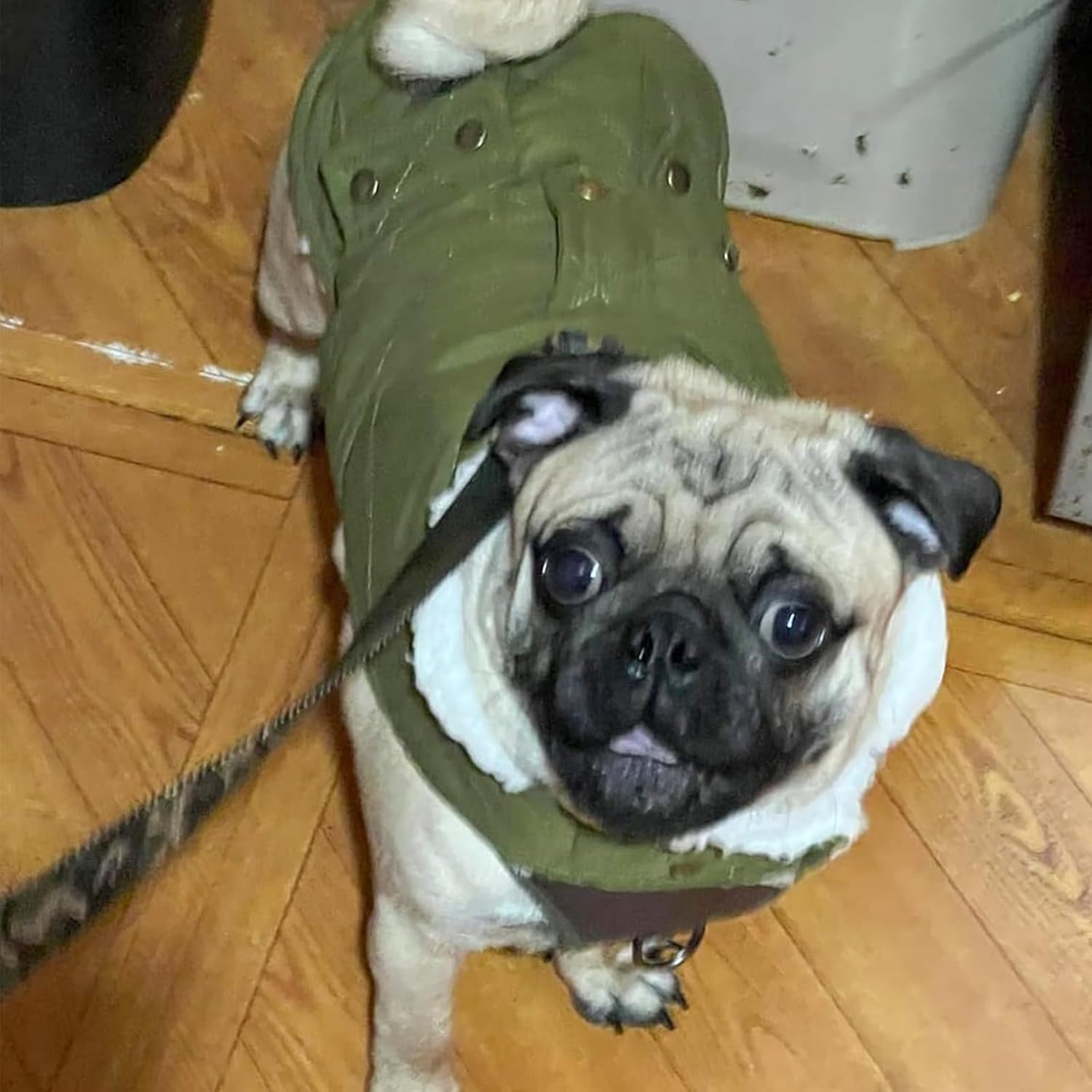 image:imageKYEESE Dog Coat Thick Pets Clothes with Pocket Windproof Dog Coats for Small Dogs Waterproof Dogs Jacket with Fleece Lined Warm Pet Winter Puffer Coat with Leash Hole Soft Pet Sweater for Cold Weather06 Army Green