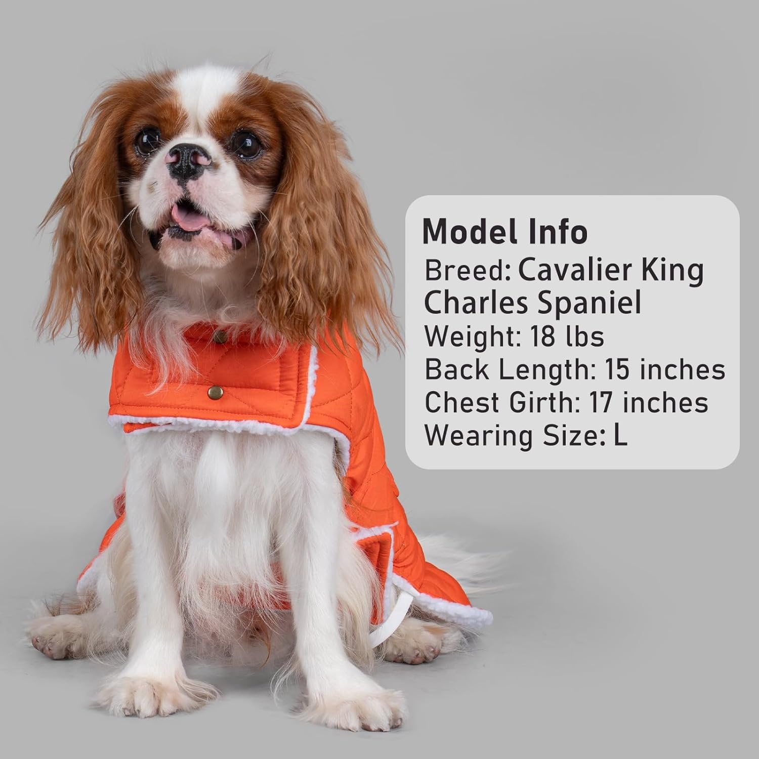 image:imageKYEESE Dog Coat Thick Pets Clothes with Pocket Windproof Dog Coats for Small Dogs Waterproof Dogs Jacket with Fleece Lined Warm Pet Winter Puffer Coat with Leash Hole Soft Pet Sweater for Cold Weather05Orange