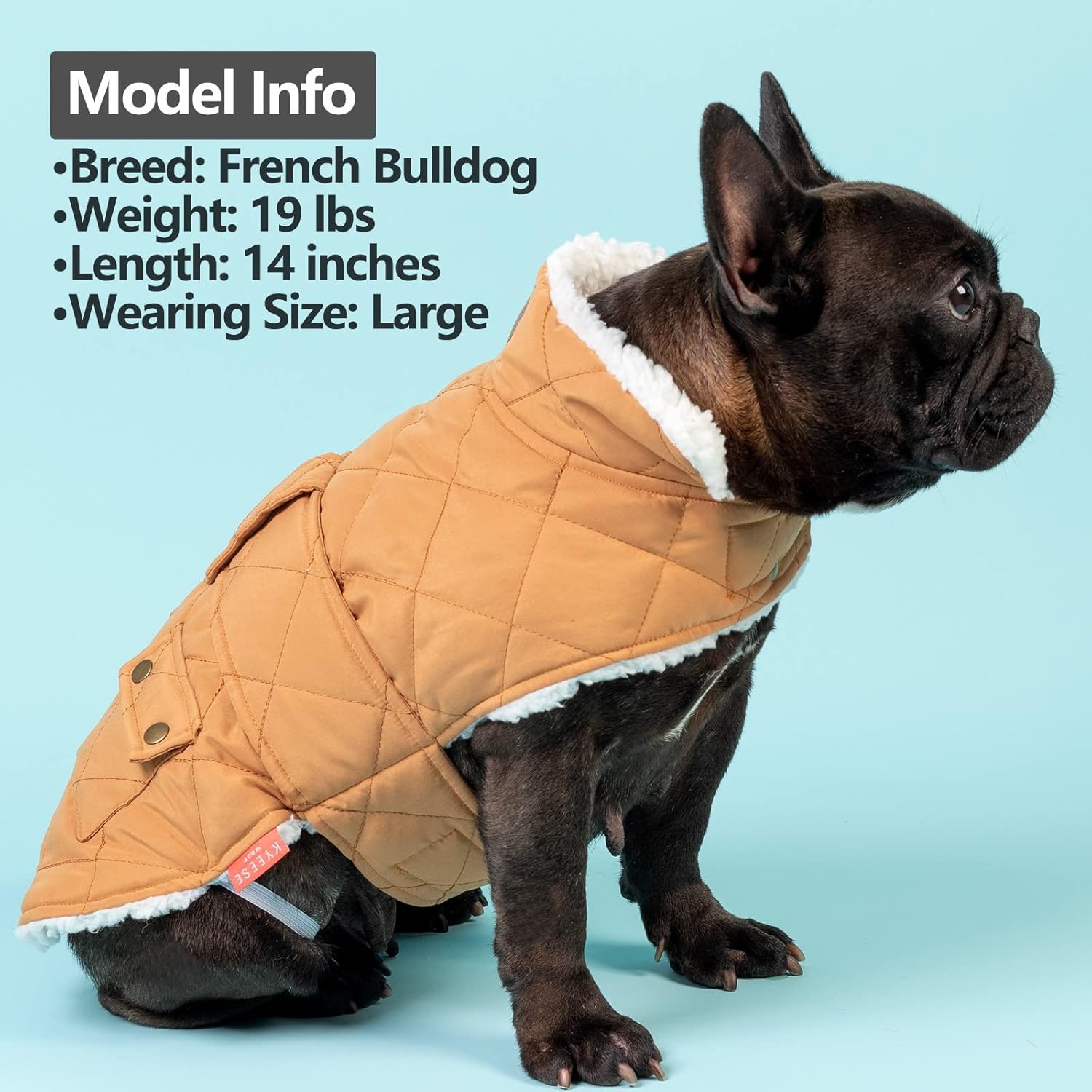 image:imageKYEESE Dog Coat Thick Pets Clothes with Pocket Windproof Dog Coats for Small Dogs Waterproof Dogs Jacket with Fleece Lined Warm Pet Winter Puffer Coat with Leash Hole Soft Pet Sweater for Cold Weather08 Yellow
