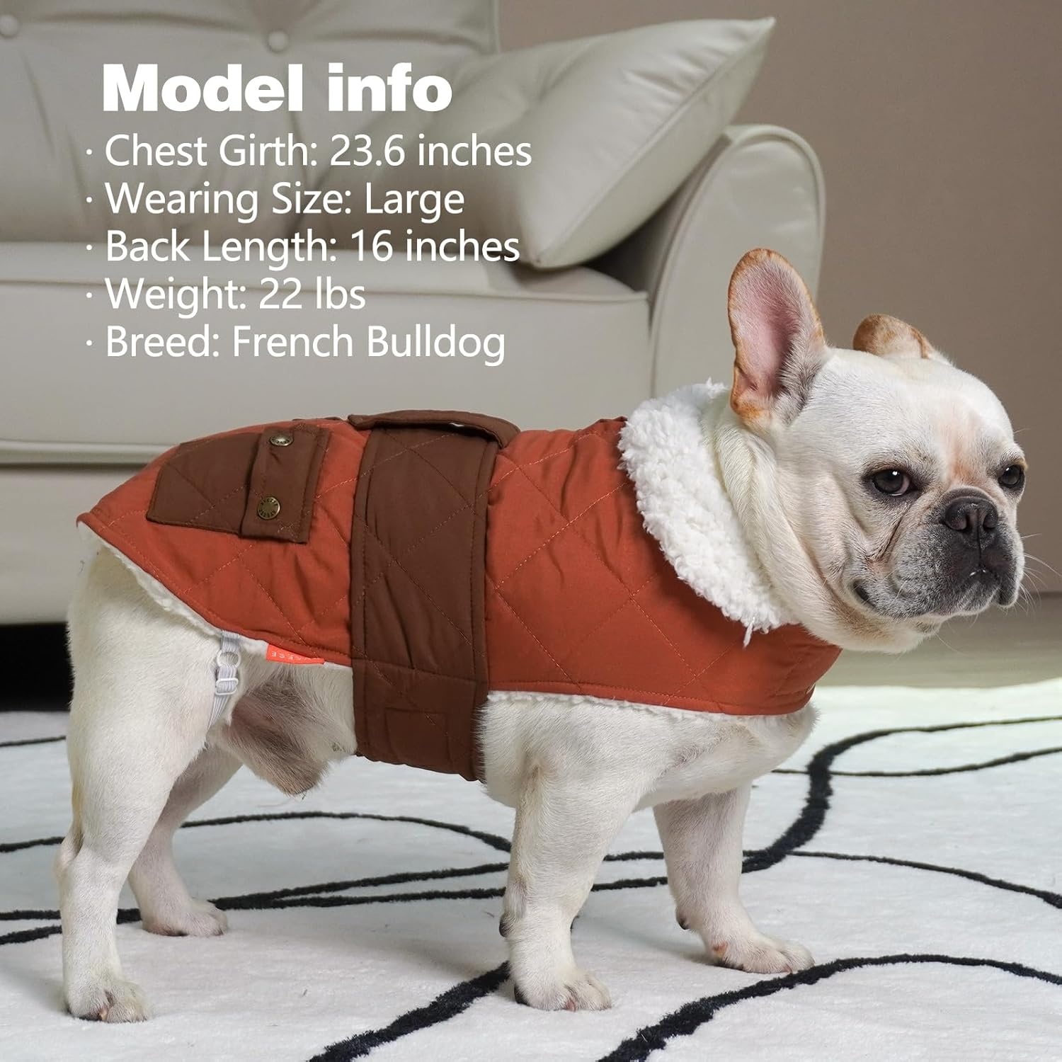 image:imageKYEESE Dog Coat Thick Pets Clothes with Pocket Windproof Dog Coats for Small Dogs Waterproof Dogs Jacket with Fleece Lined Warm Pet Winter Puffer Coat with Leash Hole Soft Pet Sweater for Cold Weather09 Brown