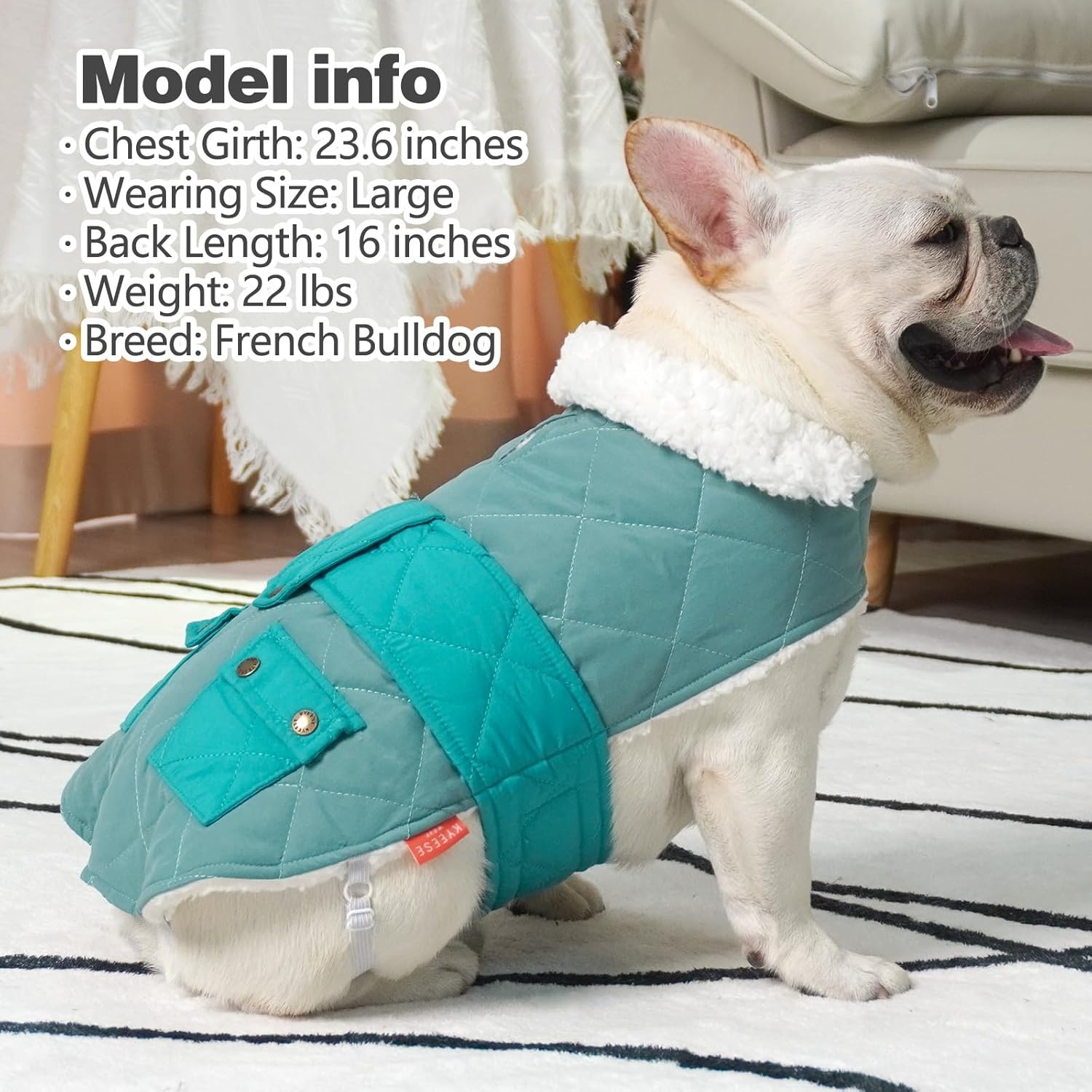 image:imageKYEESE Dog Coat Thick Pets Clothes with Pocket Windproof Dog Coats for Small Dogs Waterproof Dogs Jacket with Fleece Lined Warm Pet Winter Puffer Coat with Leash Hole Soft Pet Sweater for Cold Weather10 Mist Blue