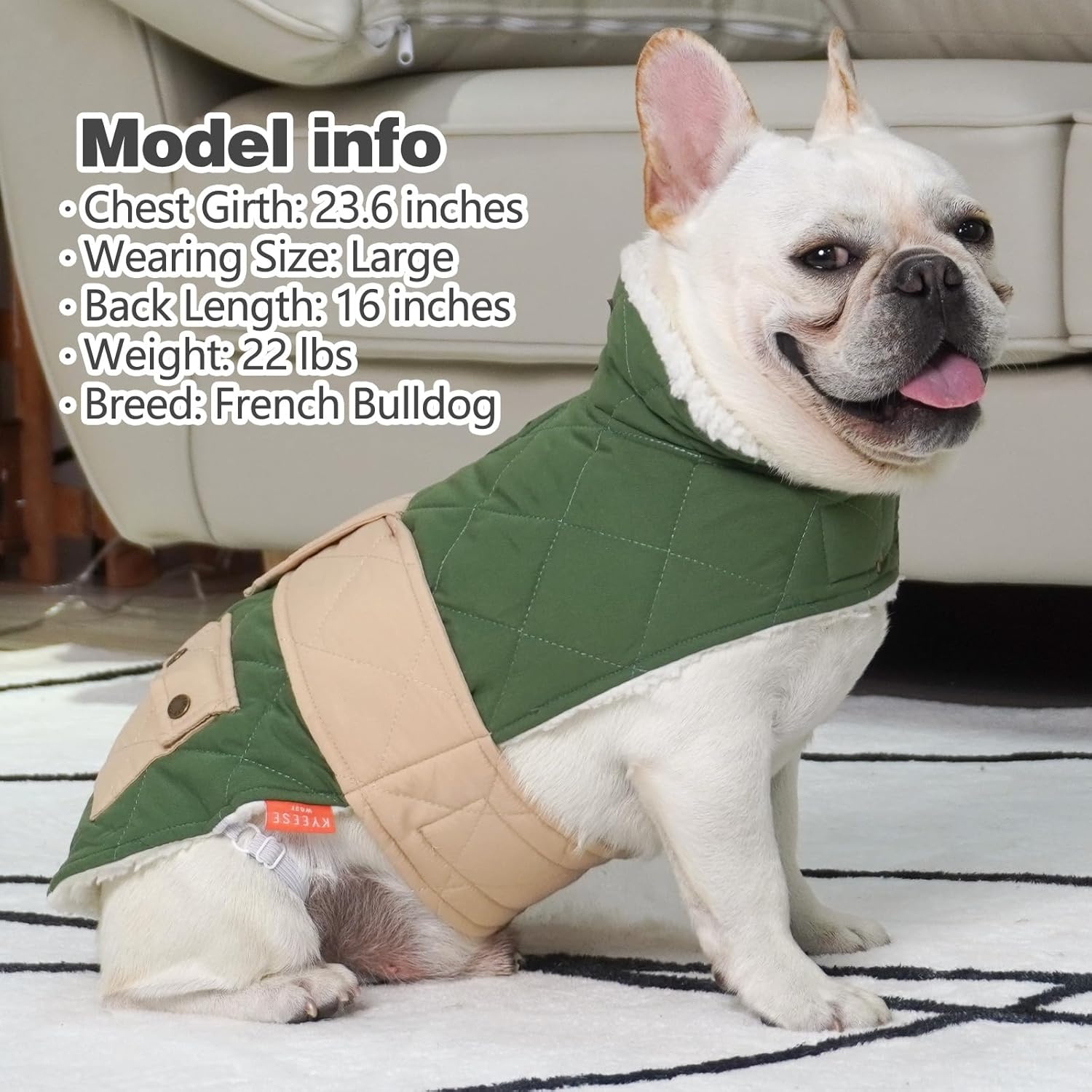 image:imageKYEESE Dog Coat Thick Pets Clothes with Pocket Windproof Dog Coats for Small Dogs Waterproof Dogs Jacket with Fleece Lined Warm Pet Winter Puffer Coat with Leash Hole Soft Pet Sweater for Cold Weather11 Green