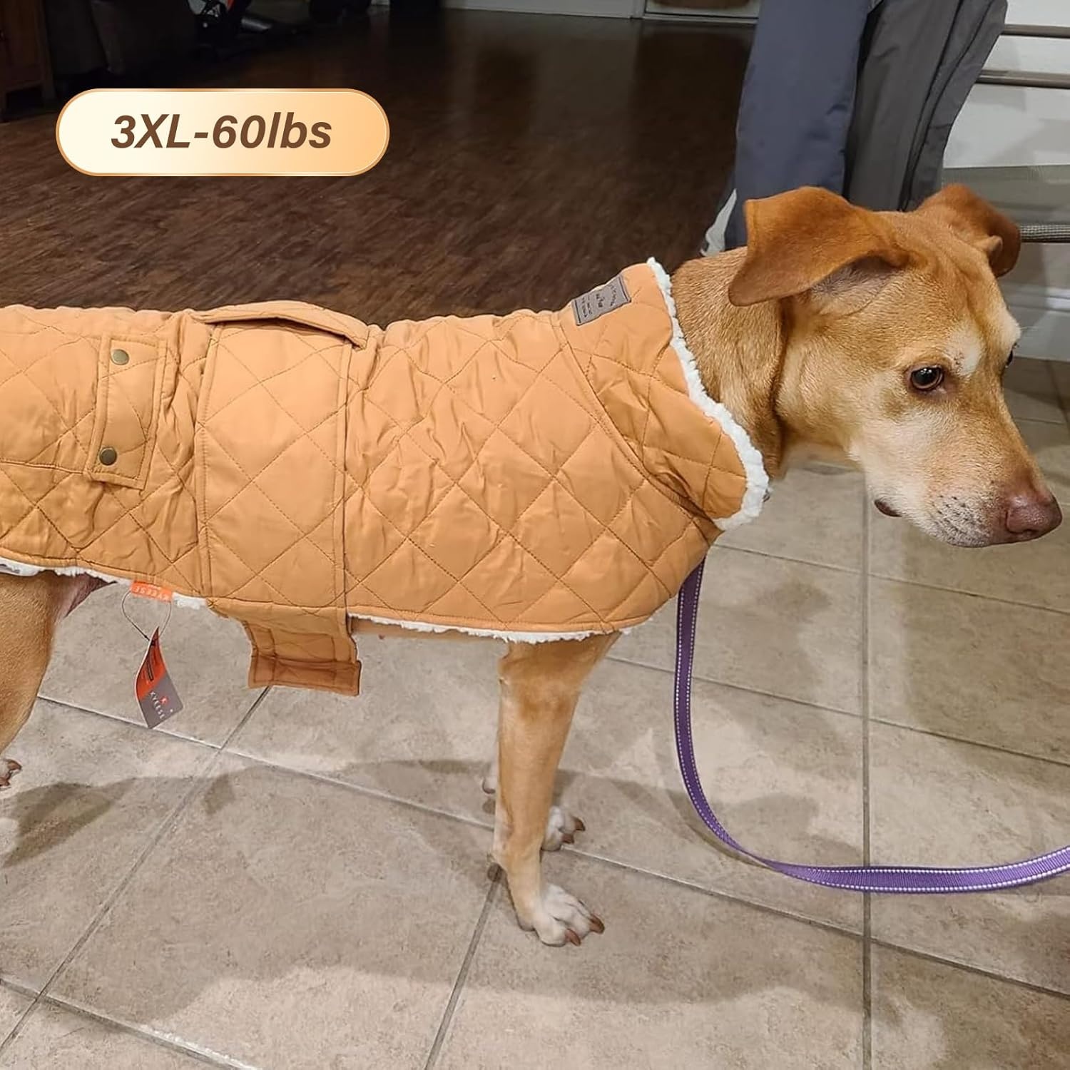 image:imageKYEESE Dog Coat Thick Pets Clothes with Pocket Windproof Dog Coats for Small Dogs Waterproof Dogs Jacket with Fleece Lined Warm Pet Winter Puffer Coat with Leash Hole Soft Pet Sweater for Cold Weather08 Yellow