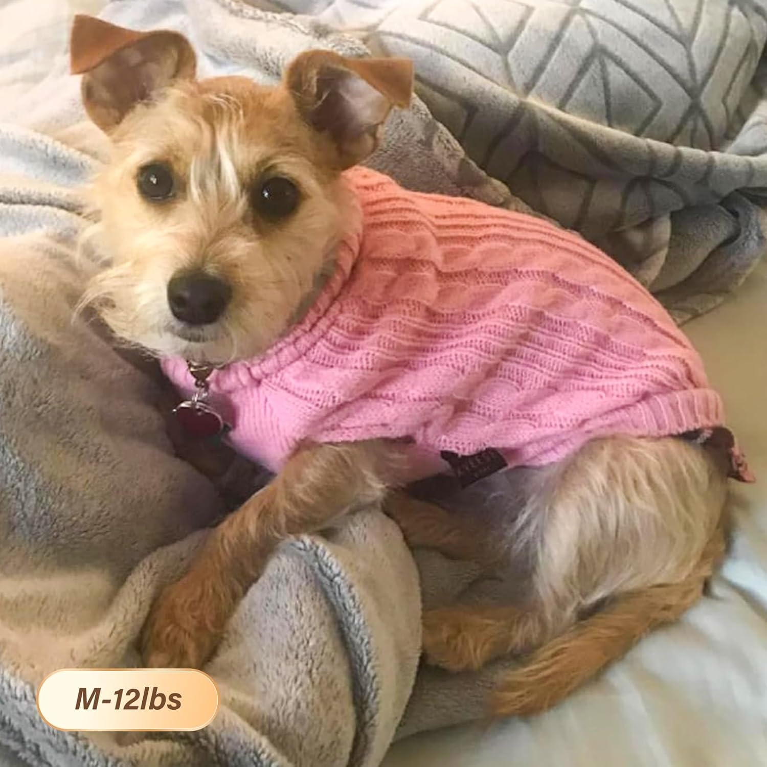 image:imageKYEESE Dog Sweater Stretchy Comfy Pet Coat for Fall Winter Cold Weather Soft Pullover Dog Sweaters for Small Dogs Girl Warm Turtleneck Small Dogs Sweater5 Pink