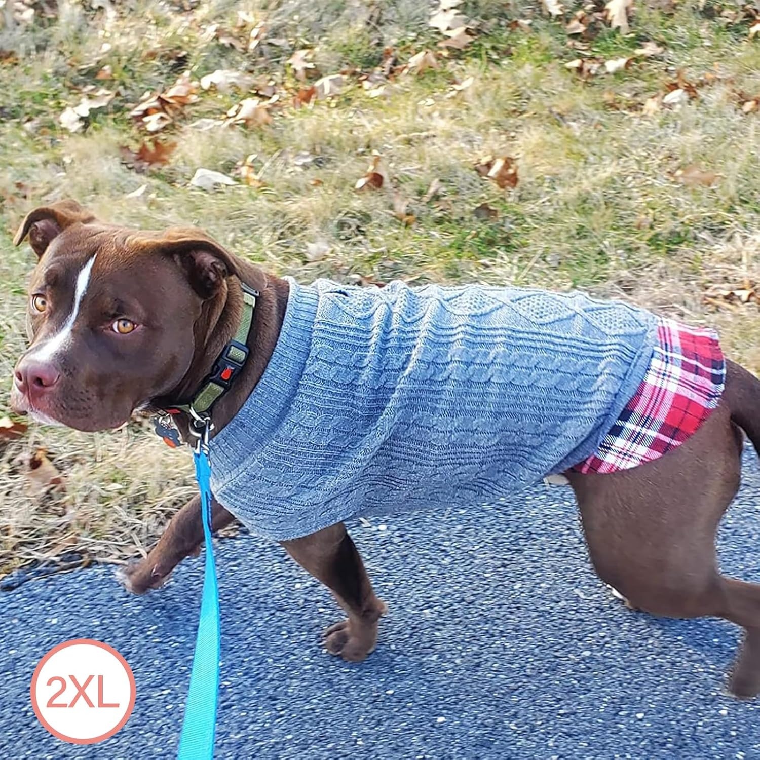 image:imageKYEESE Dog Sweater Stretchy Comfy Pet Coat for Fall Winter Cold Weather Soft Pullover Dog Sweaters for Small Dogs Girl Warm Turtleneck Small Dogs Sweater1 Grey