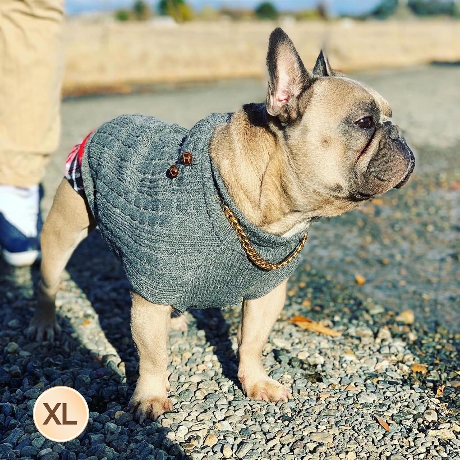 image:imageKYEESE Dog Sweater Stretchy Comfy Pet Coat for Fall Winter Cold Weather Soft Pullover Dog Sweaters for Small Dogs Girl Warm Turtleneck Small Dogs Sweater1 Grey