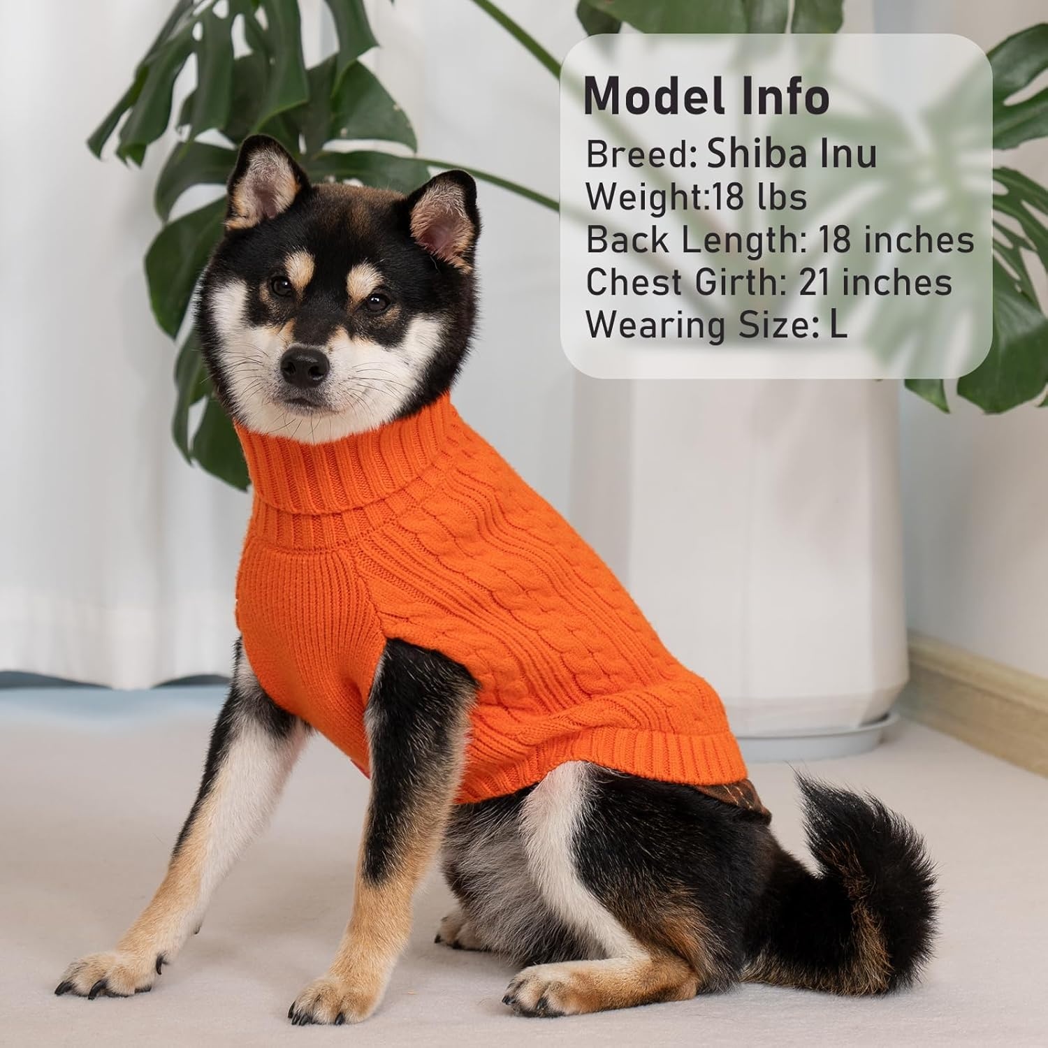 image:imageKYEESE Dog Sweater Stretchy Comfy Pet Coat for Fall Winter Cold Weather Soft Pullover Dog Sweaters for Small Dogs Girl Warm Turtleneck Small Dogs Sweater7 Orange