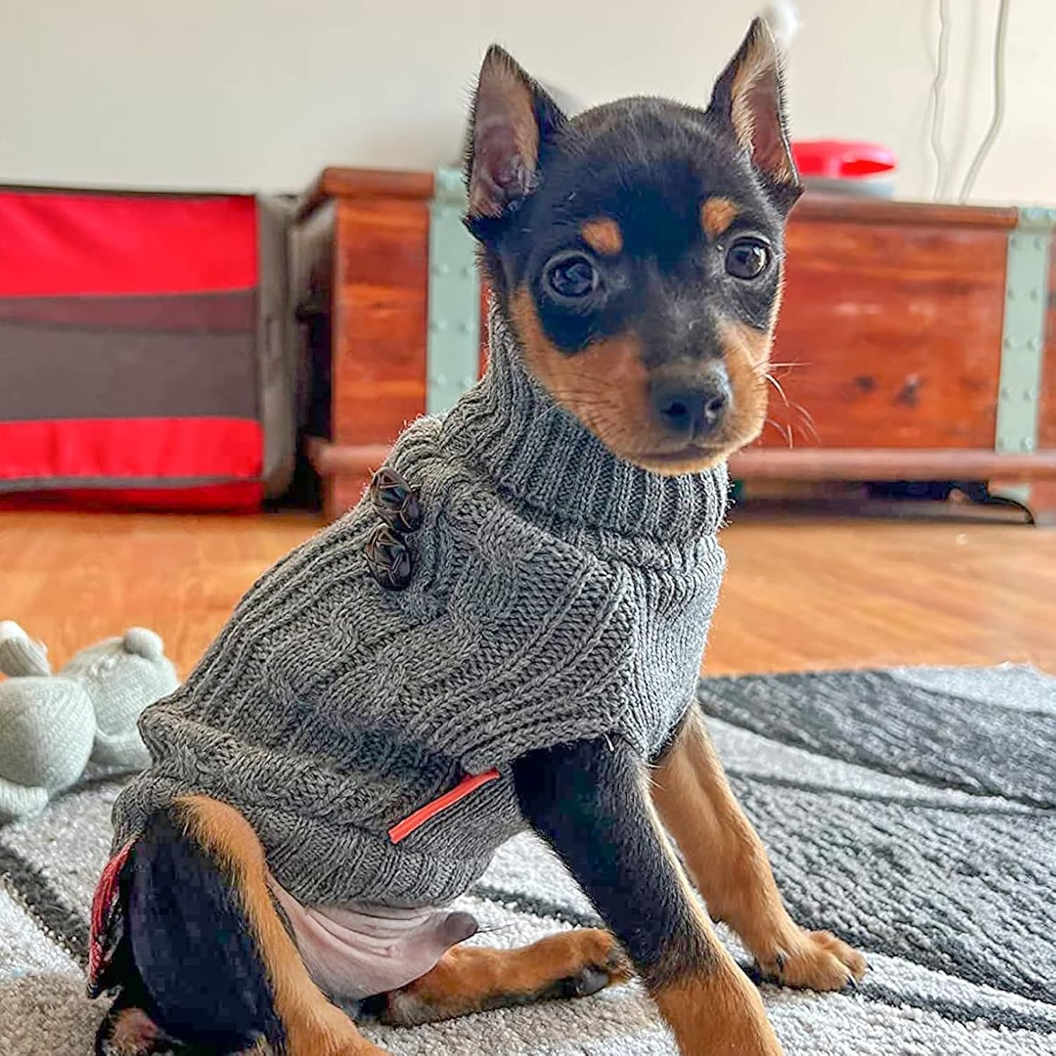 image:imageKYEESE Dog Sweater Stretchy Comfy Pet Coat for Fall Winter Cold Weather Soft Pullover Dog Sweaters for Small Dogs Girl Warm Turtleneck Small Dogs Sweater1 Grey
