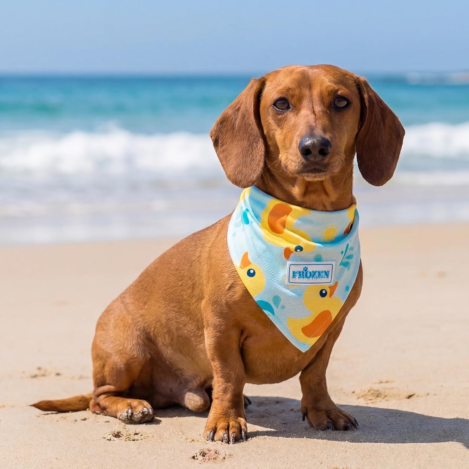 image:imageKYEESE 2Pack Dog Cooling Bandana Breathable Cooling Bandanas for Small Medium Large Dogs Neck Cooler Wraps for Summer Walking Outdoor DuckBlueDuckBlue