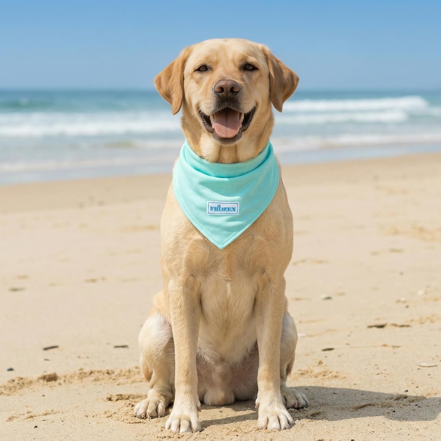image:imageKYEESE 2Pack Dog Cooling Bandana Breathable Cooling Bandanas for Small Medium Large Dogs Neck Cooler Wraps for Summer Walking Outdoor DuckBlueDuckBlue