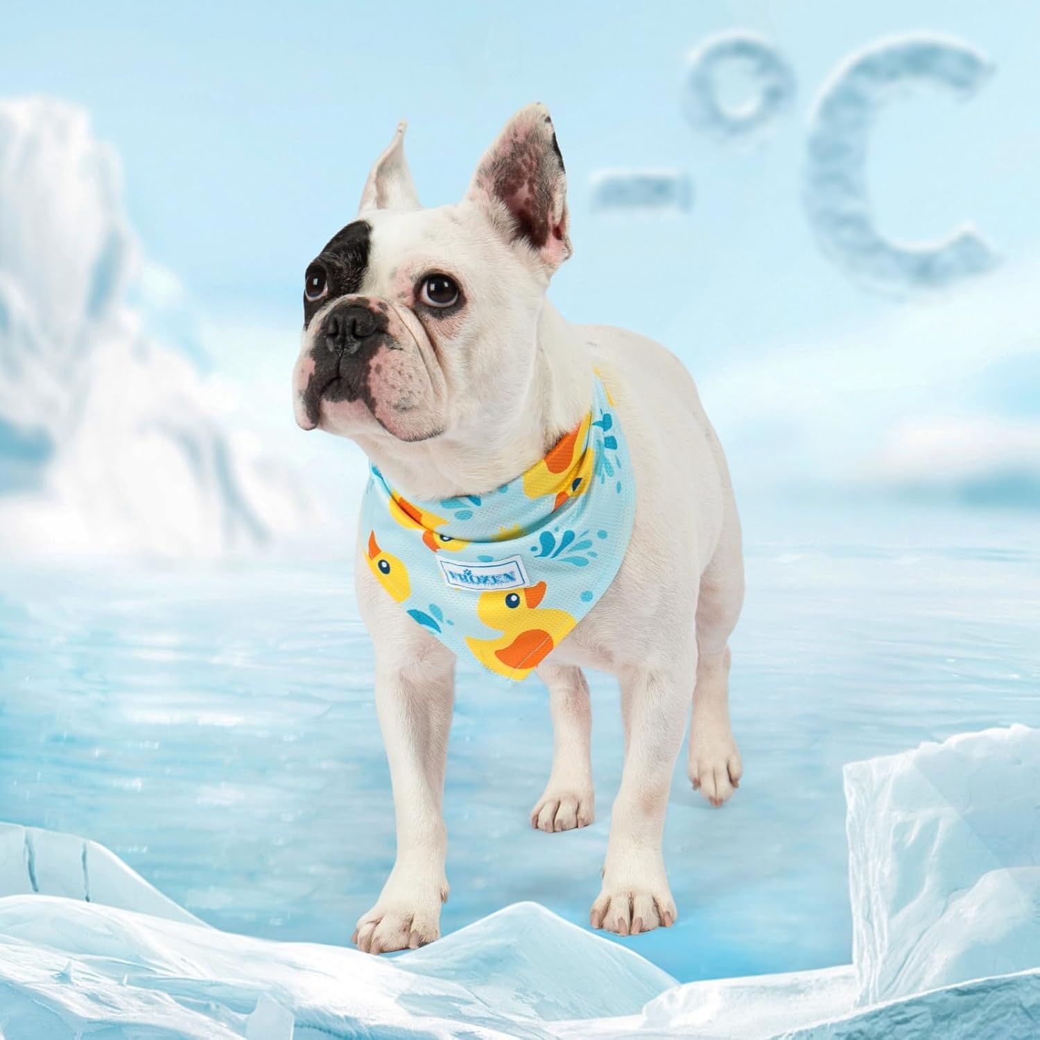 image:imageKYEESE 2Pack Dog Cooling Bandana Breathable Cooling Bandanas for Small Medium Large Dogs Neck Cooler Wraps for Summer Walking Outdoor DuckBlueDuckBlue