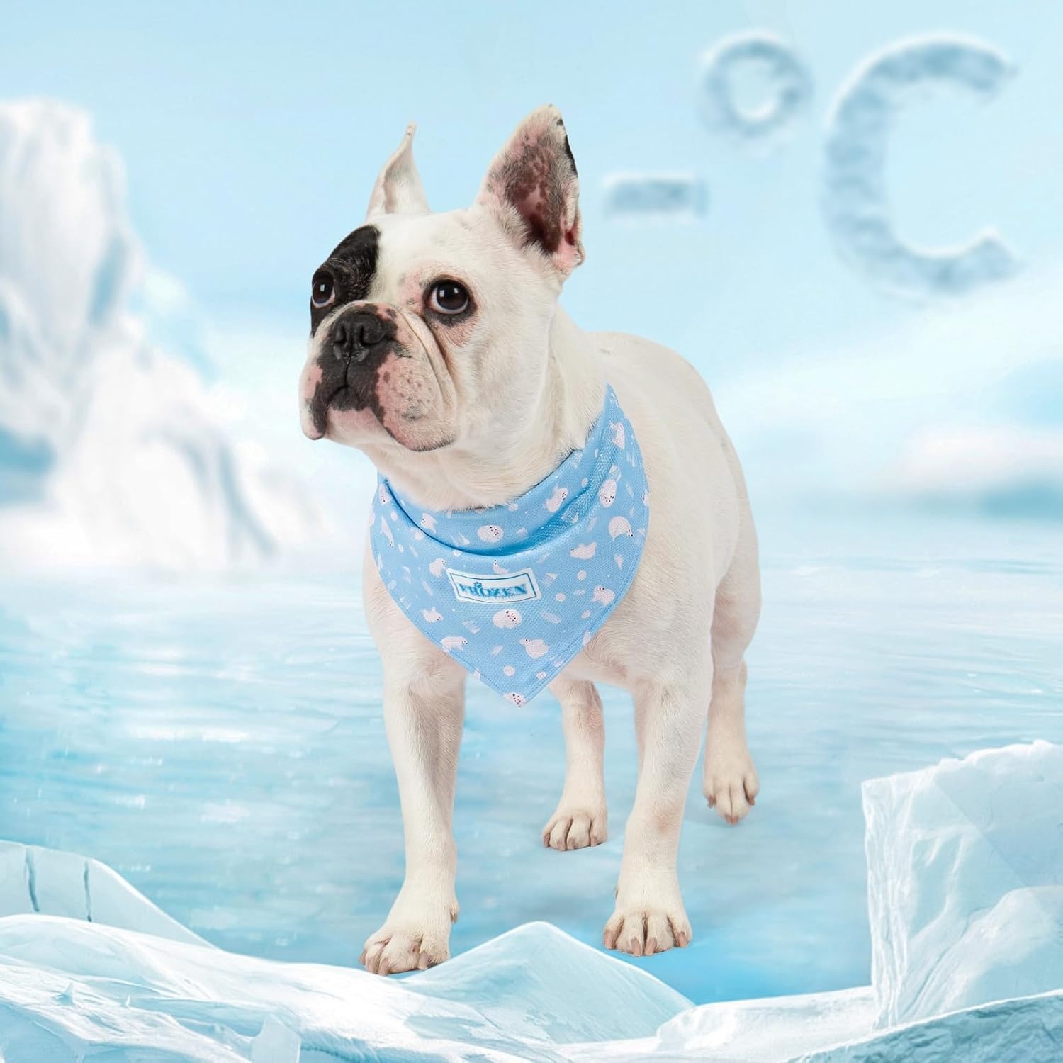 image:imageKYEESE 2Pack Dog Cooling Bandana Breathable Cooling Bandanas for Small Medium Large Dogs Neck Cooler Wraps for Summer Walking Outdoor DuckBluePolar bearIce