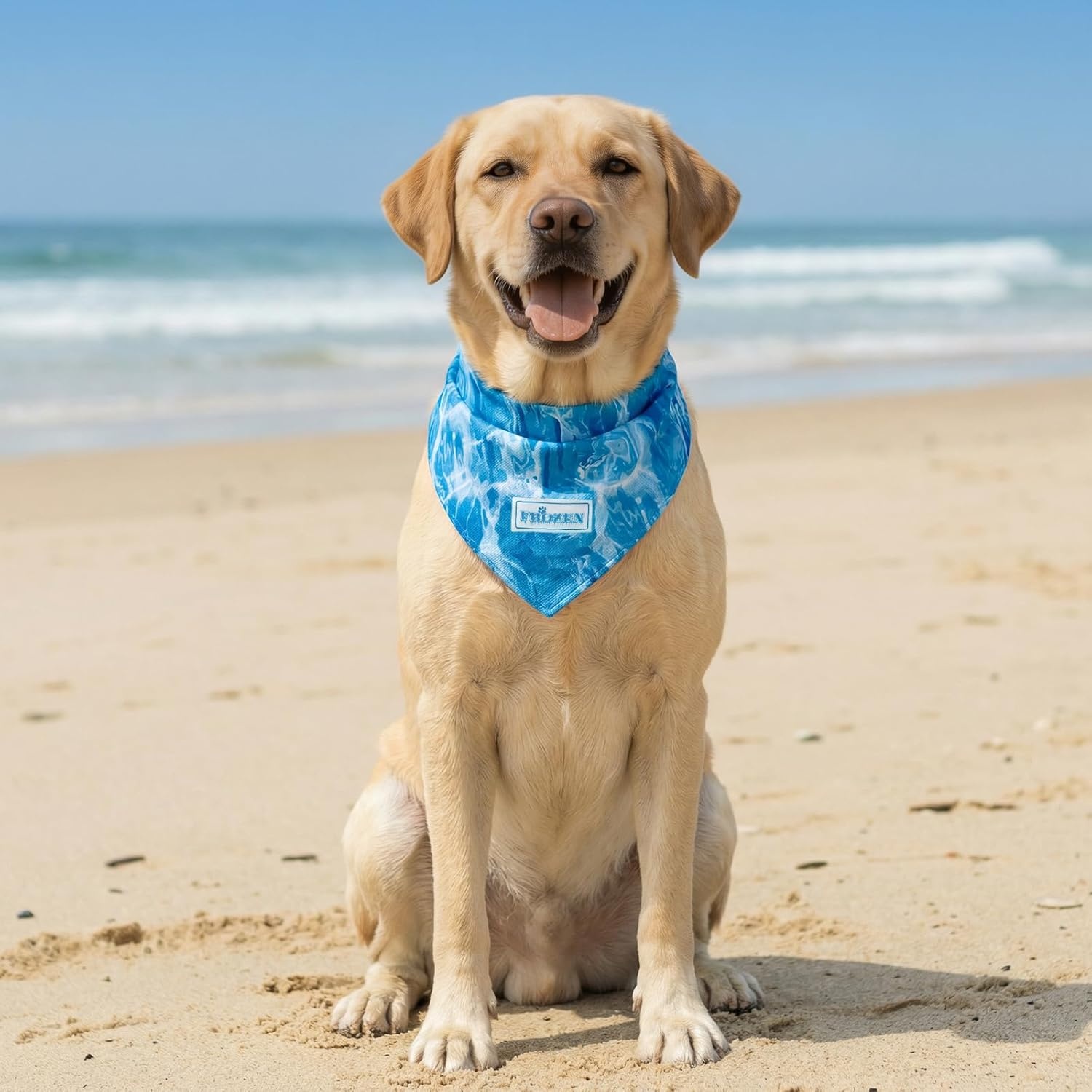 image:imageKYEESE 2Pack Dog Cooling Bandana Breathable Cooling Bandanas for Small Medium Large Dogs Neck Cooler Wraps for Summer Walking Outdoor DuckBluePolar bearIce