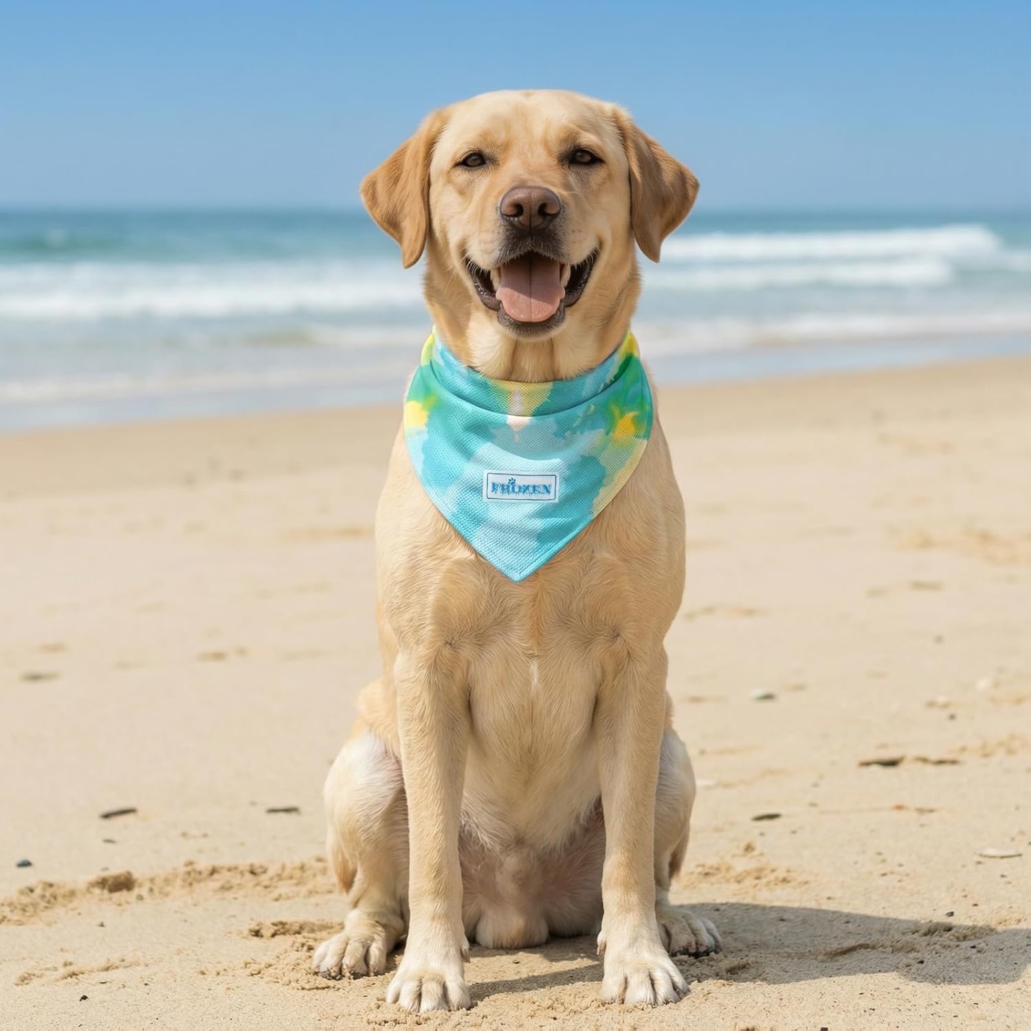 image:imageKYEESE 2Pack Dog Cooling Bandana Breathable Cooling Bandanas for Small Medium Large Dogs Neck Cooler Wraps for Summer Walking Outdoor DuckBluePurpleBlue