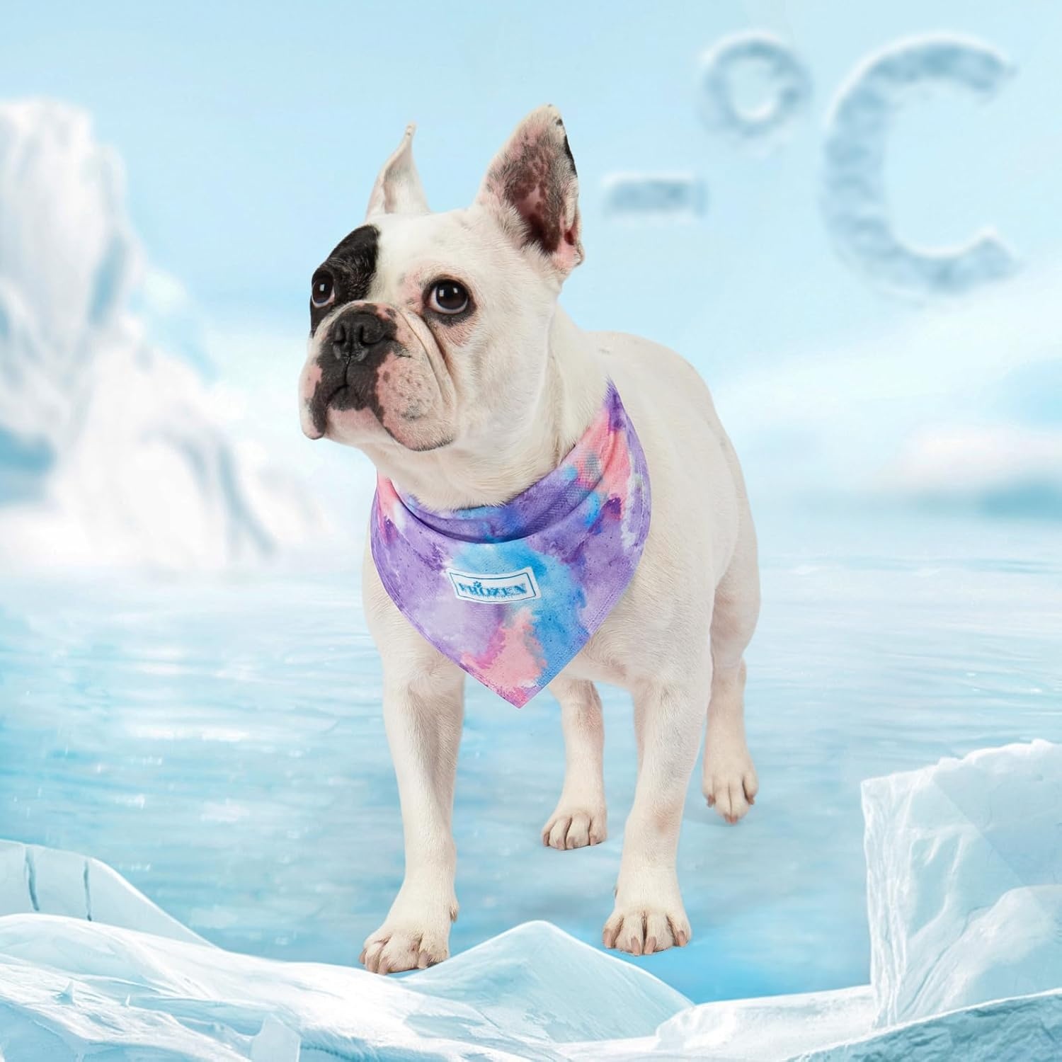 image:imageKYEESE 2Pack Dog Cooling Bandana Breathable Cooling Bandanas for Small Medium Large Dogs Neck Cooler Wraps for Summer Walking Outdoor DuckBluePurpleBlue