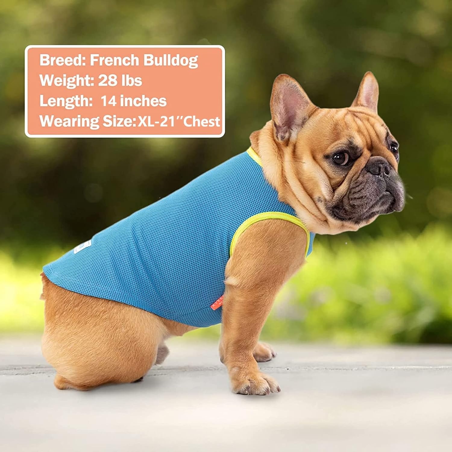 image:imageKYEESE 2Pack Dog Cooling Shirt Breathable Dog Shirt for Small Dogs Sun Protection Dogs Cooling Vest Tank Top Lightweight Soft Sleeveless Summer Pet Clothes DuckBlue M5 BlueGrey