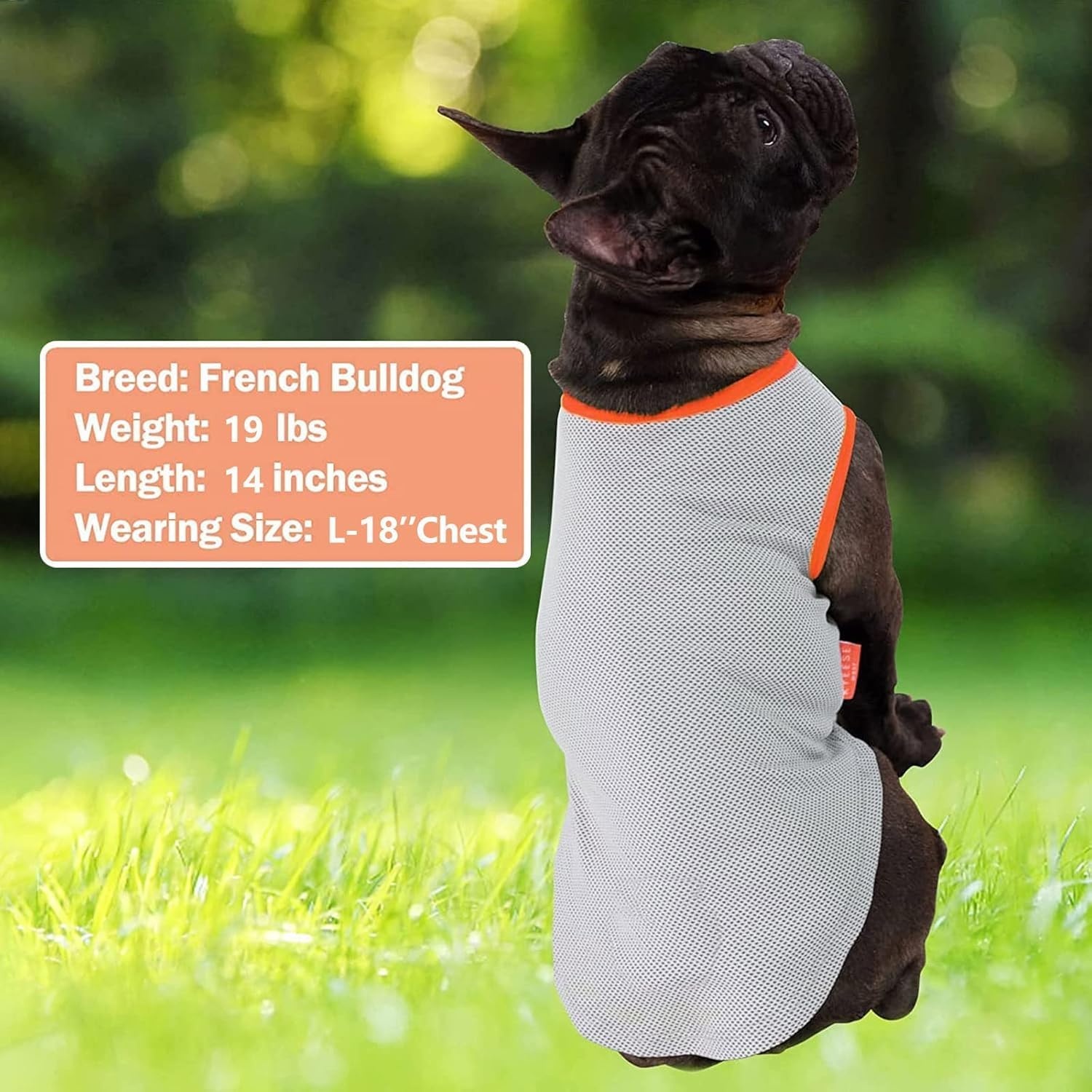 image:imageKYEESE 2Pack Dog Cooling Shirt Breathable Dog Shirt for Small Dogs Sun Protection Dogs Cooling Vest Tank Top Lightweight Soft Sleeveless Summer Pet Clothes DuckBlue M6 PinkGrey