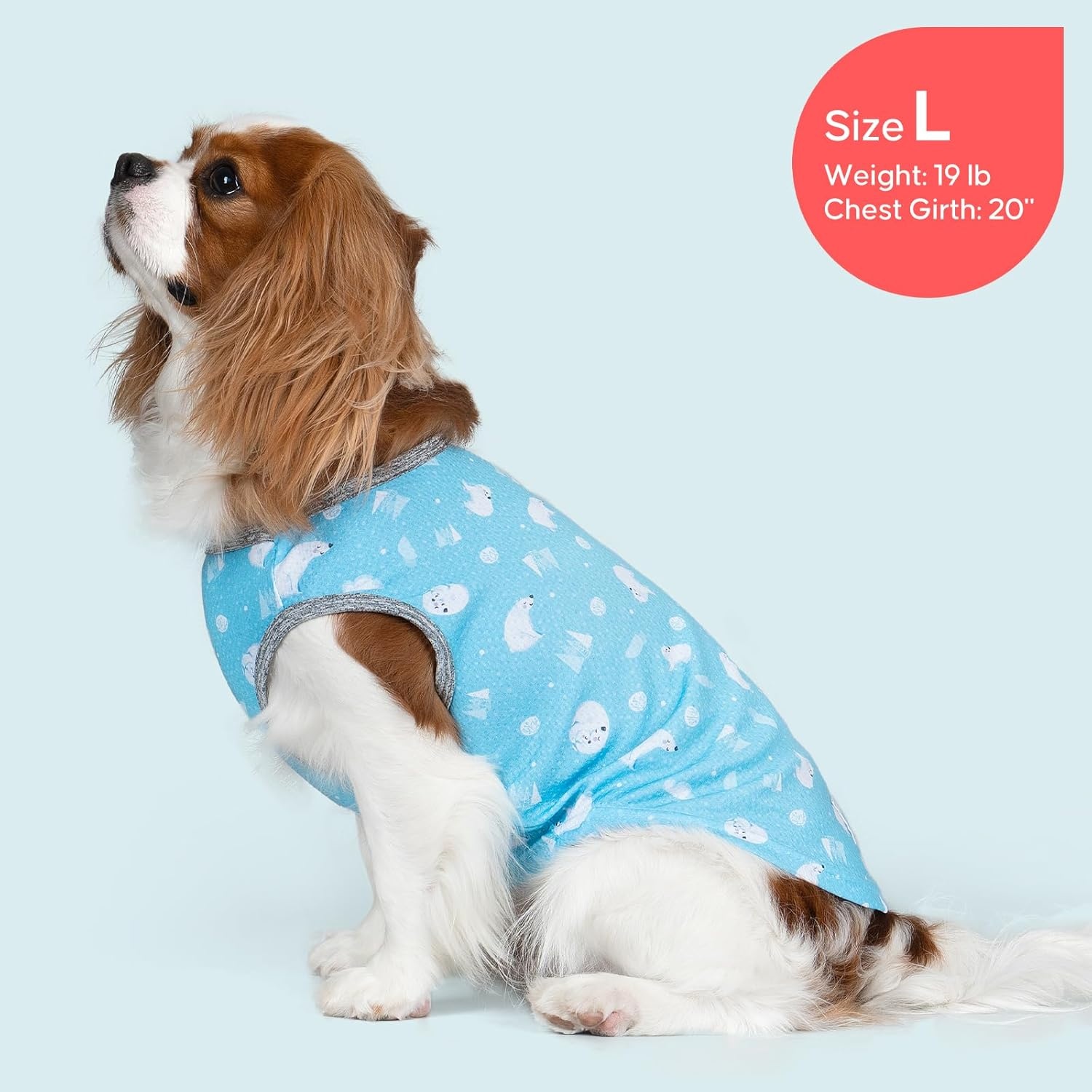 image:imageKYEESE 2Pack Dog Cooling Shirt Breathable Dog Shirt for Small Dogs Sun Protection Dogs Cooling Vest Tank Top Lightweight Soft Sleeveless Summer Pet Clothes DuckBlue M1 Polar bearIce