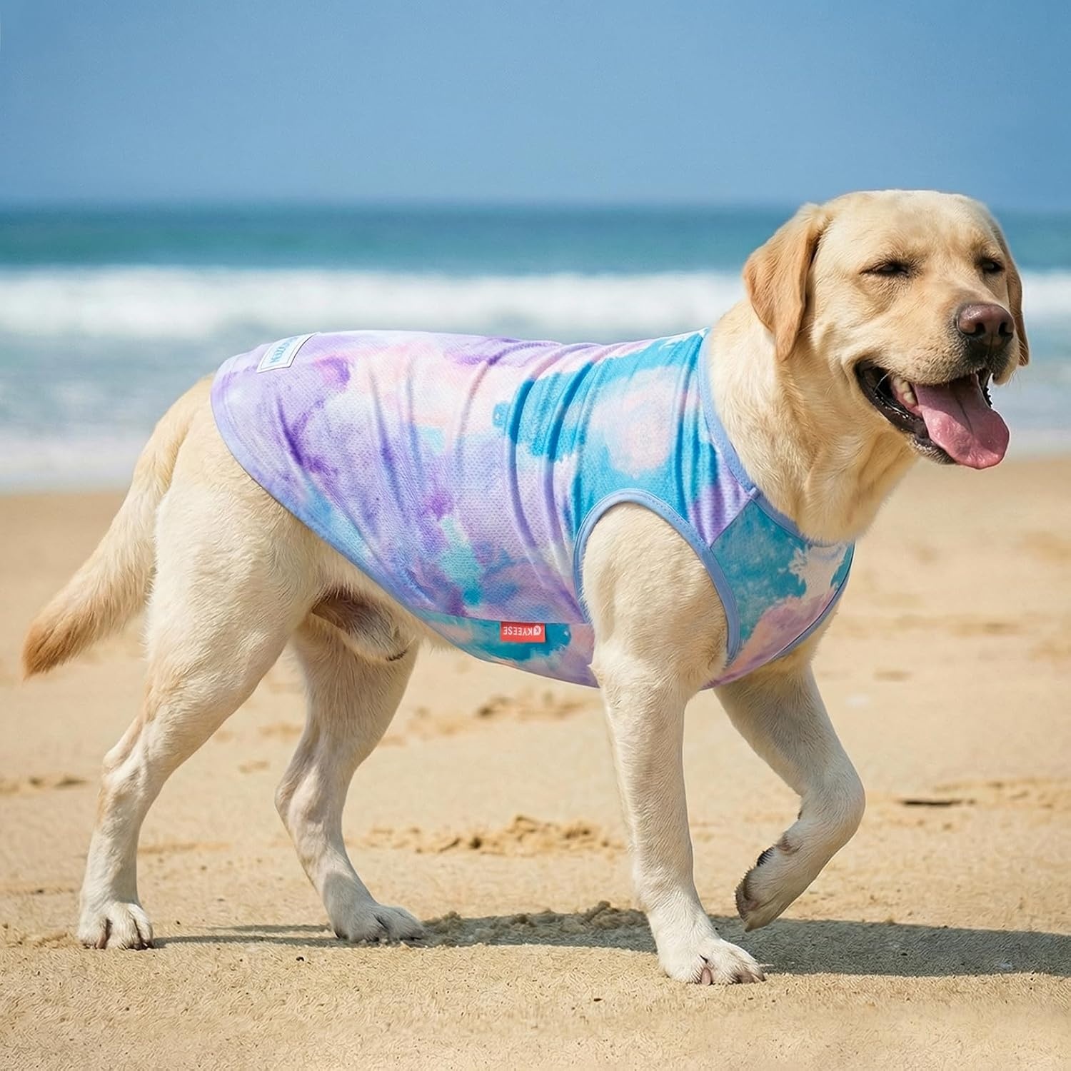 image:imageKYEESE 2Pack Dog Cooling Shirt Breathable Dog Shirt for Small Dogs Sun Protection Dogs Cooling Vest Tank Top Lightweight Soft Sleeveless Summer Pet Clothes DuckBlue MPurpleBlue