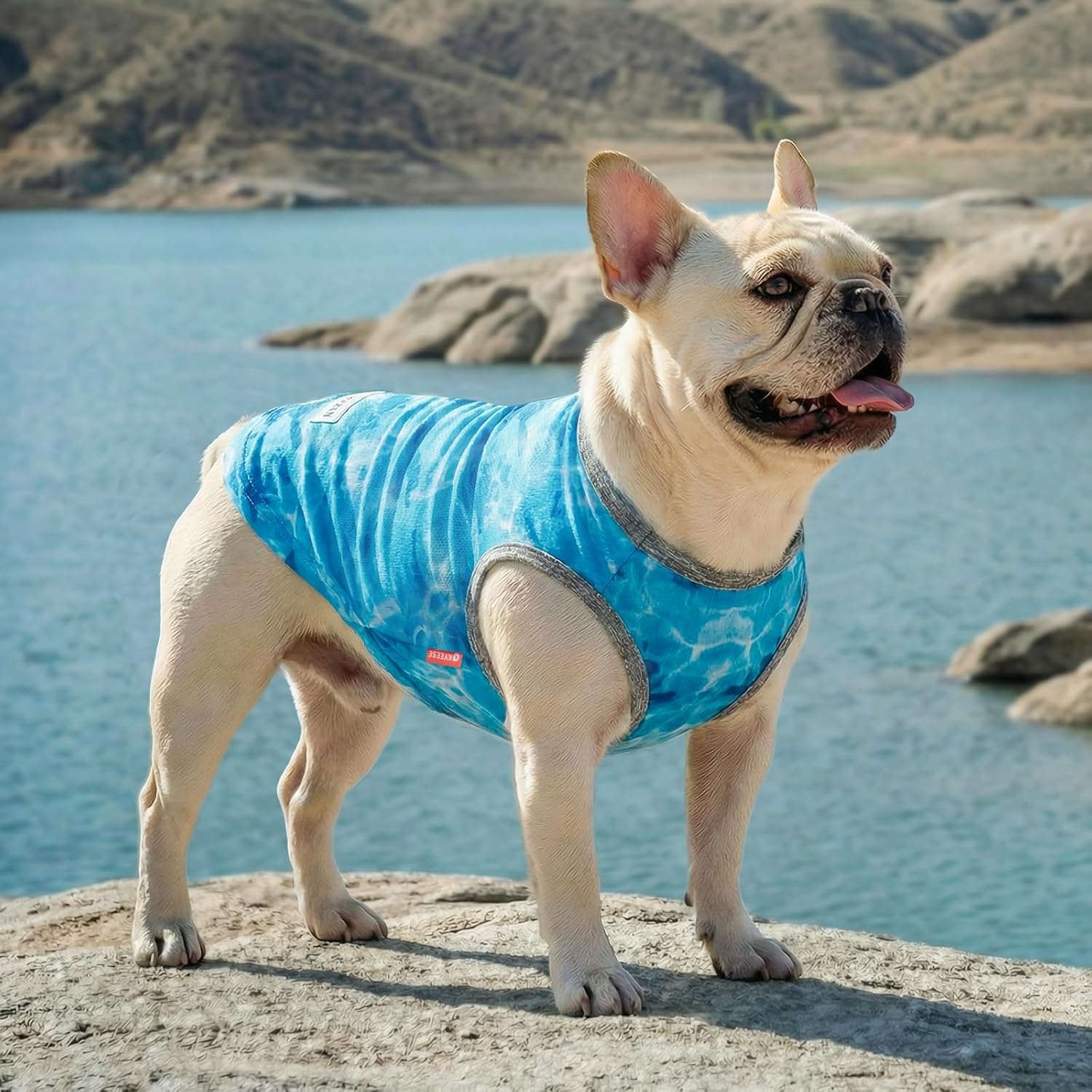 image:imageKYEESE 2Pack Dog Cooling Shirt Breathable Dog Shirt for Small Dogs Sun Protection Dogs Cooling Vest Tank Top Lightweight Soft Sleeveless Summer Pet Clothes DuckBlue M1 Polar bearIce