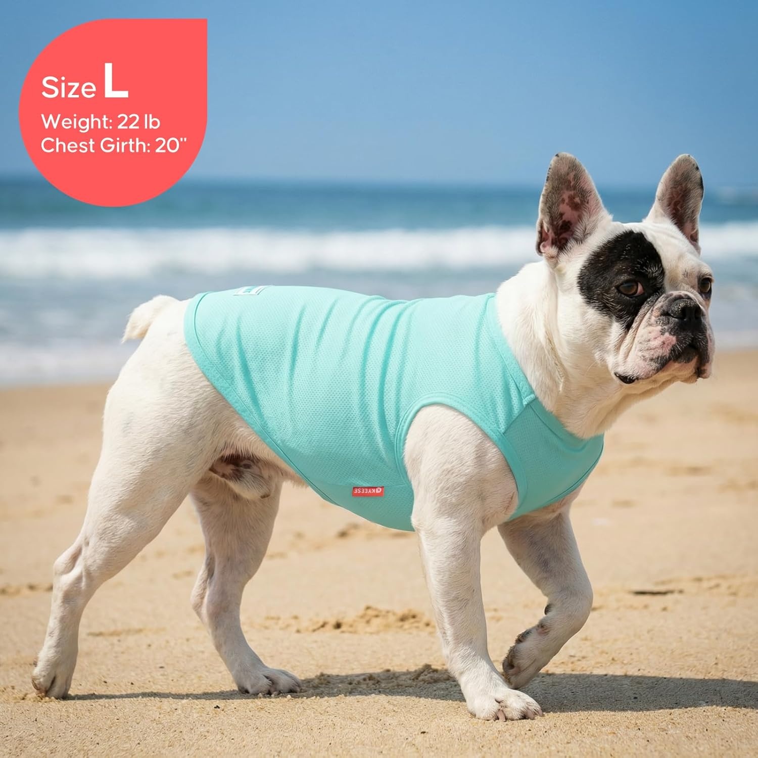 image:imageKYEESE 2Pack Dog Cooling Shirt Breathable Dog Shirt for Small Dogs Sun Protection Dogs Cooling Vest Tank Top Lightweight Soft Sleeveless Summer Pet Clothes DuckBlue M4 DuckBlue