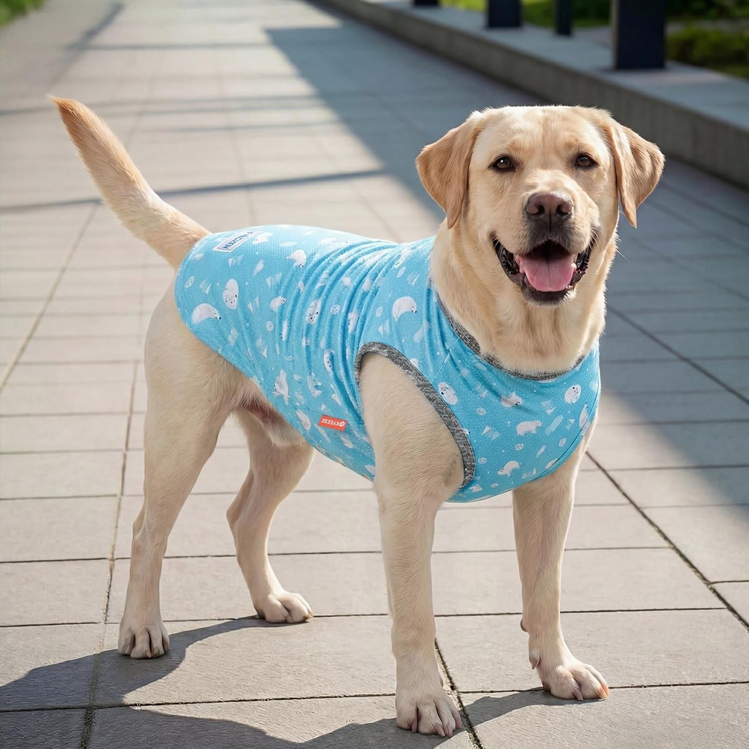 image:imageKYEESE 2Pack Dog Cooling Shirt Breathable Dog Shirt for Small Dogs Sun Protection Dogs Cooling Vest Tank Top Lightweight Soft Sleeveless Summer Pet Clothes DuckBlue M1 Polar bearIce