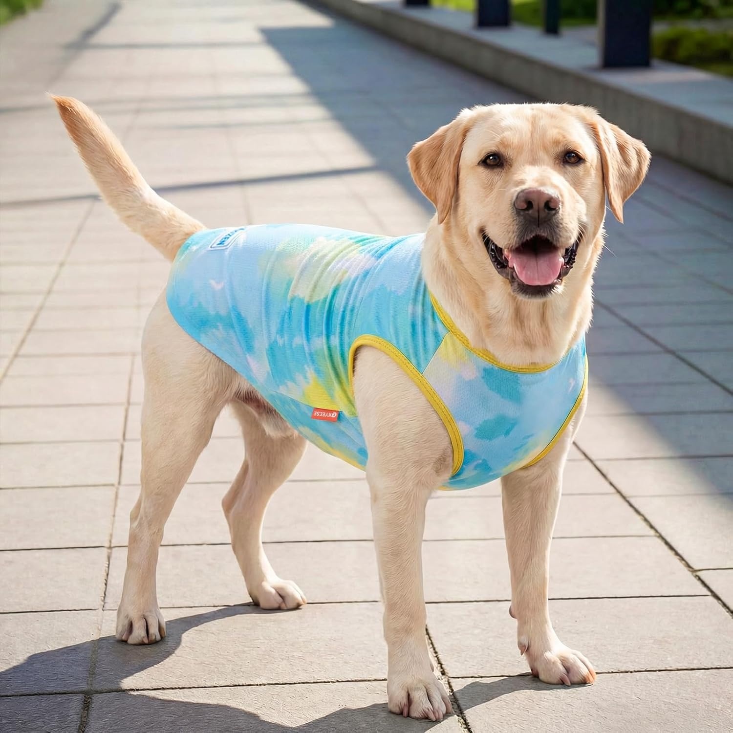 image:imageKYEESE 2Pack Dog Cooling Shirt Breathable Dog Shirt for Small Dogs Sun Protection Dogs Cooling Vest Tank Top Lightweight Soft Sleeveless Summer Pet Clothes DuckBlue MPurpleBlue