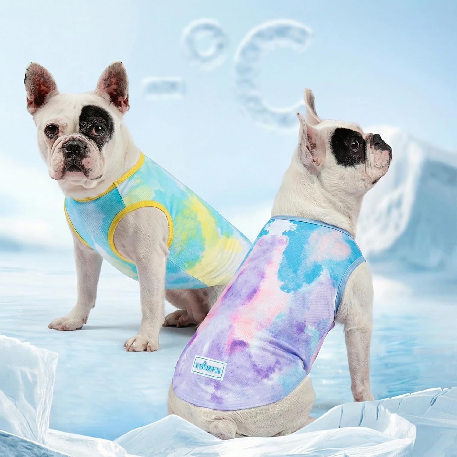 image:imageKYEESE 2Pack Dog Cooling Shirt Breathable Dog Shirt for Small Dogs Sun Protection Dogs Cooling Vest Tank Top Lightweight Soft Sleeveless Summer Pet Clothes DuckBlue MPurpleBlue