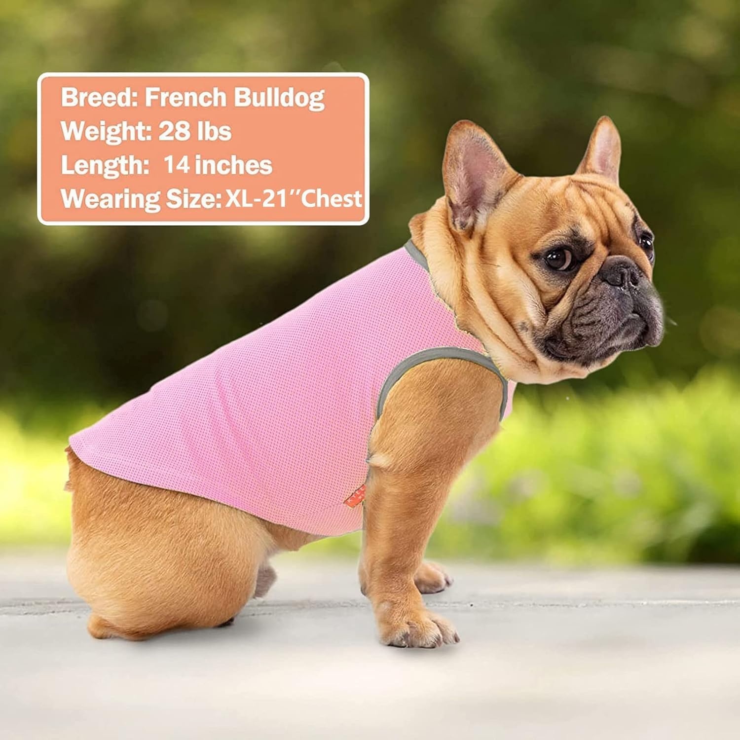 image:imageKYEESE 2Pack Dog Cooling Shirt Breathable Dog Shirt for Small Dogs Sun Protection Dogs Cooling Vest Tank Top Lightweight Soft Sleeveless Summer Pet Clothes DuckBlue M6 PinkGrey