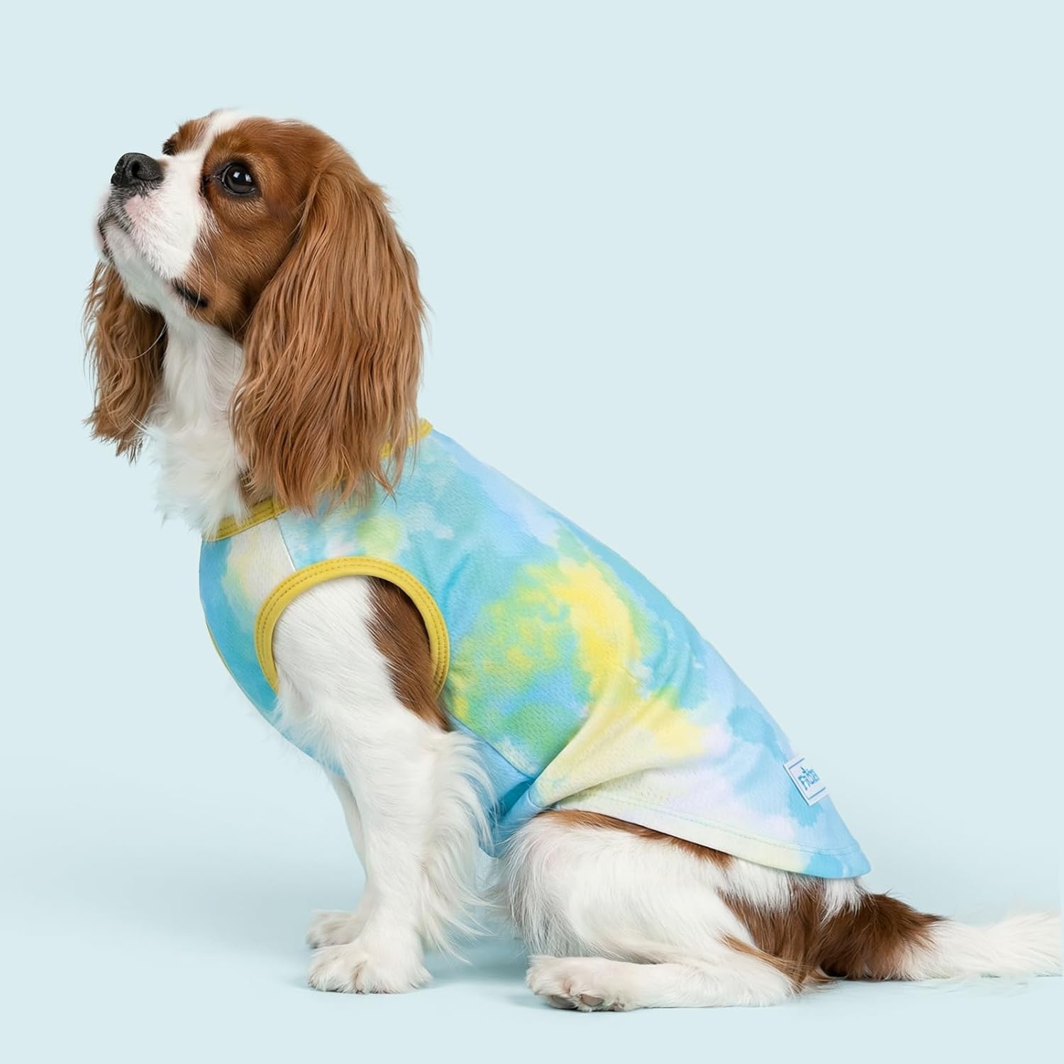 image:imageKYEESE 2Pack Dog Cooling Shirt Breathable Dog Shirt for Small Dogs Sun Protection Dogs Cooling Vest Tank Top Lightweight Soft Sleeveless Summer Pet Clothes DuckBlue MPurpleBlue