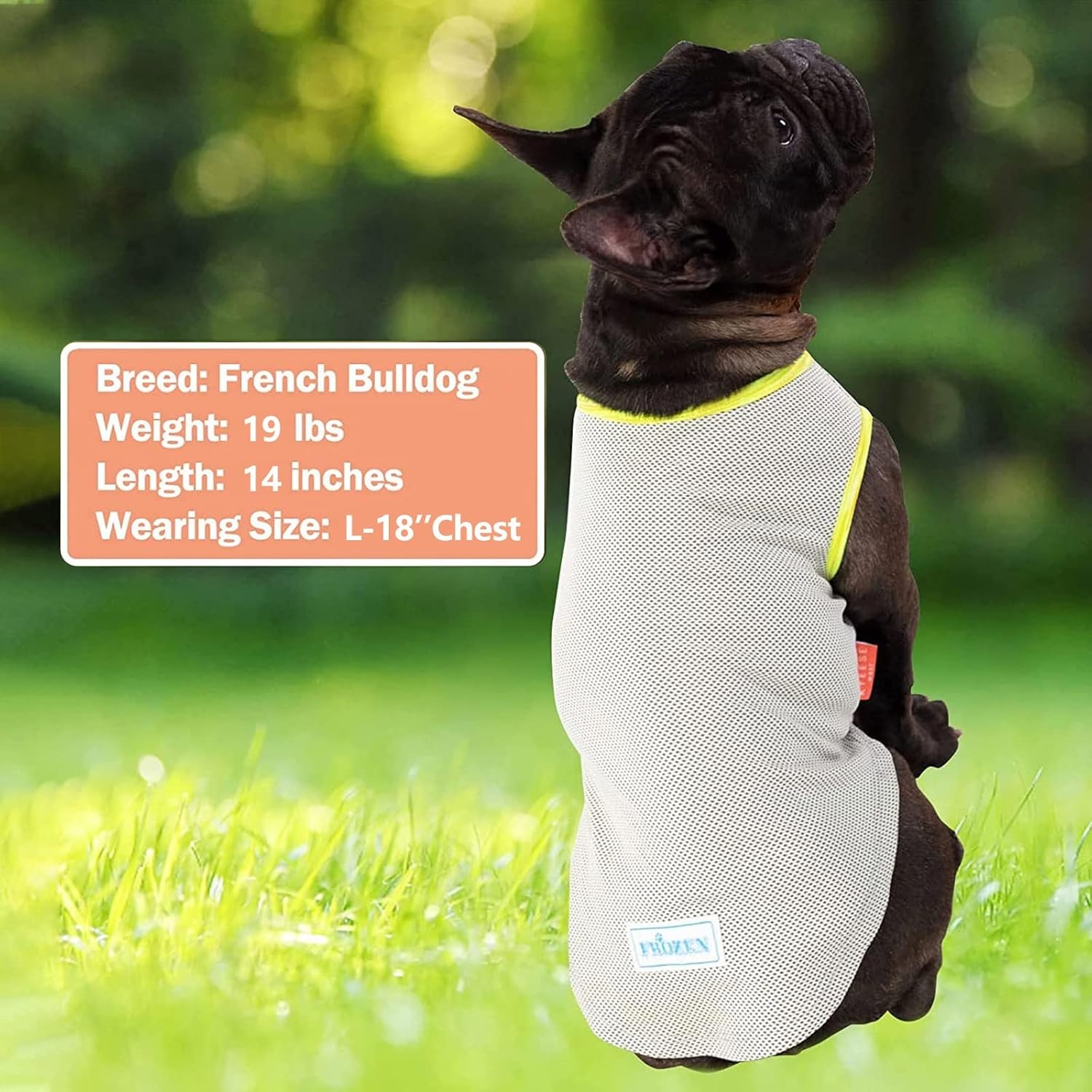 image:imageKYEESE 2Pack Dog Cooling Shirt Breathable Dog Shirt for Small Dogs Sun Protection Dogs Cooling Vest Tank Top Lightweight Soft Sleeveless Summer Pet Clothes DuckBlue M5 BlueGrey