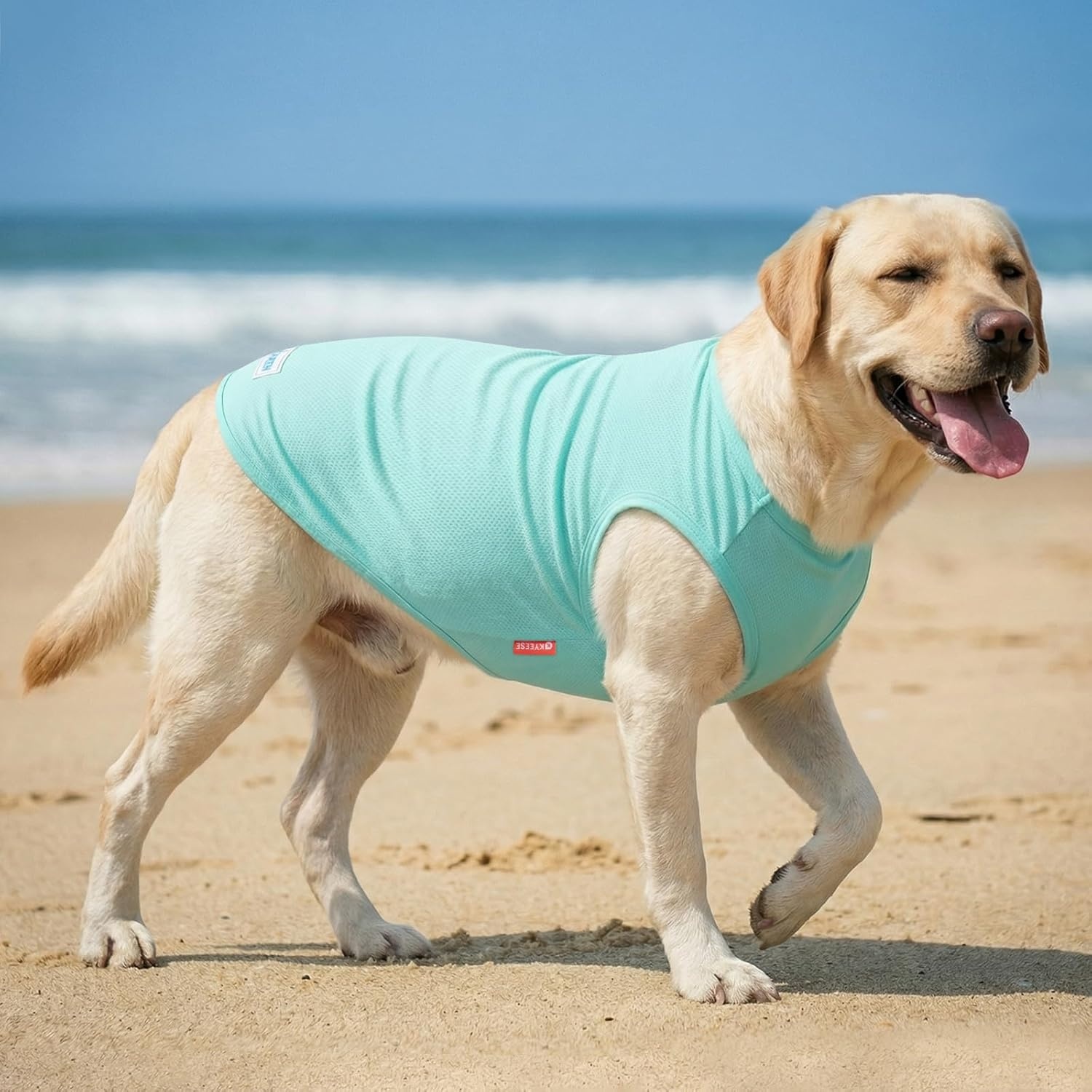 image:imageKYEESE 2Pack Dog Cooling Shirt Breathable Dog Shirt for Small Dogs Sun Protection Dogs Cooling Vest Tank Top Lightweight Soft Sleeveless Summer Pet Clothes DuckBlue M4 DuckBlue