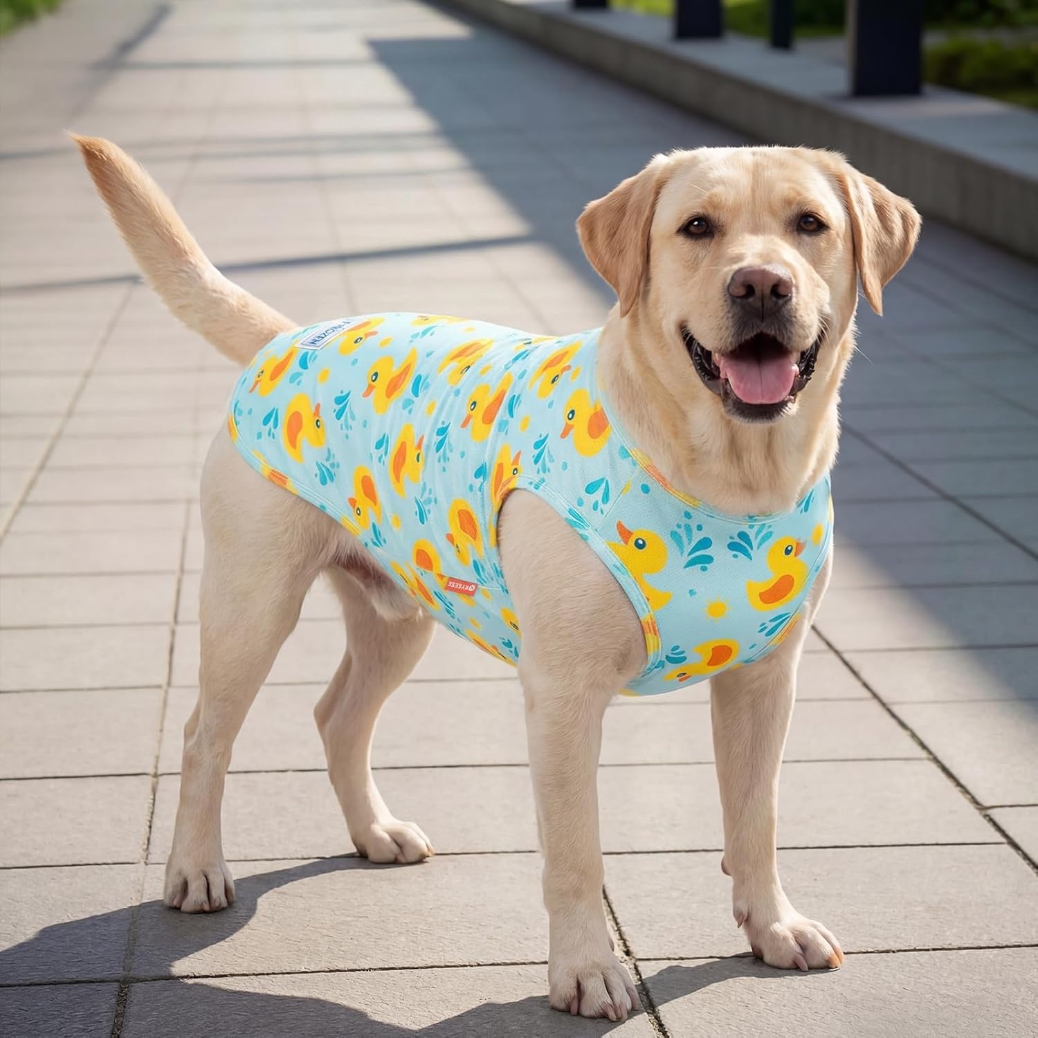 image:imageKYEESE 2Pack Dog Cooling Shirt Breathable Dog Shirt for Small Dogs Sun Protection Dogs Cooling Vest Tank Top Lightweight Soft Sleeveless Summer Pet Clothes DuckBlue M4 DuckBlue