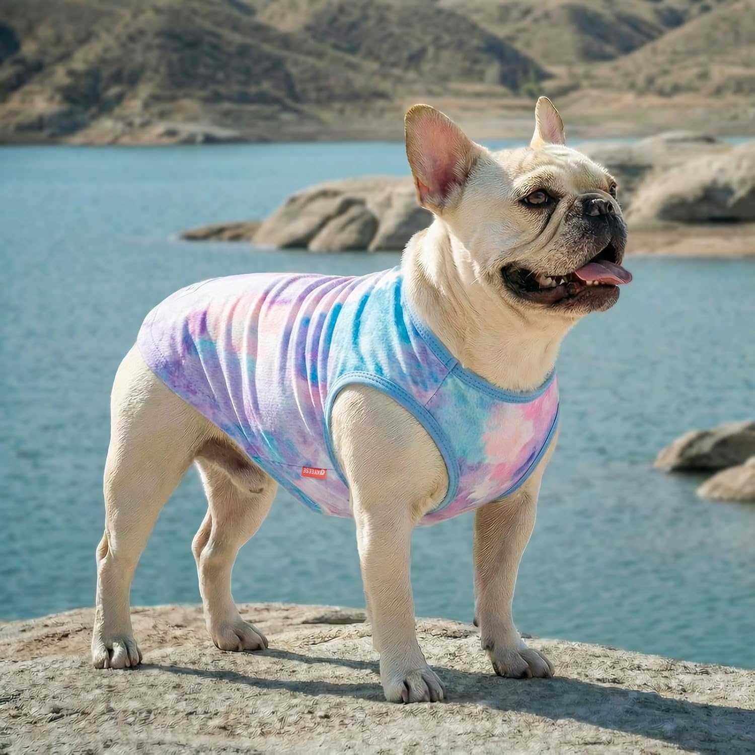 image:imageKYEESE 2Pack Dog Cooling Shirt Breathable Dog Shirt for Small Dogs Sun Protection Dogs Cooling Vest Tank Top Lightweight Soft Sleeveless Summer Pet Clothes DuckBlue MPurpleBlue