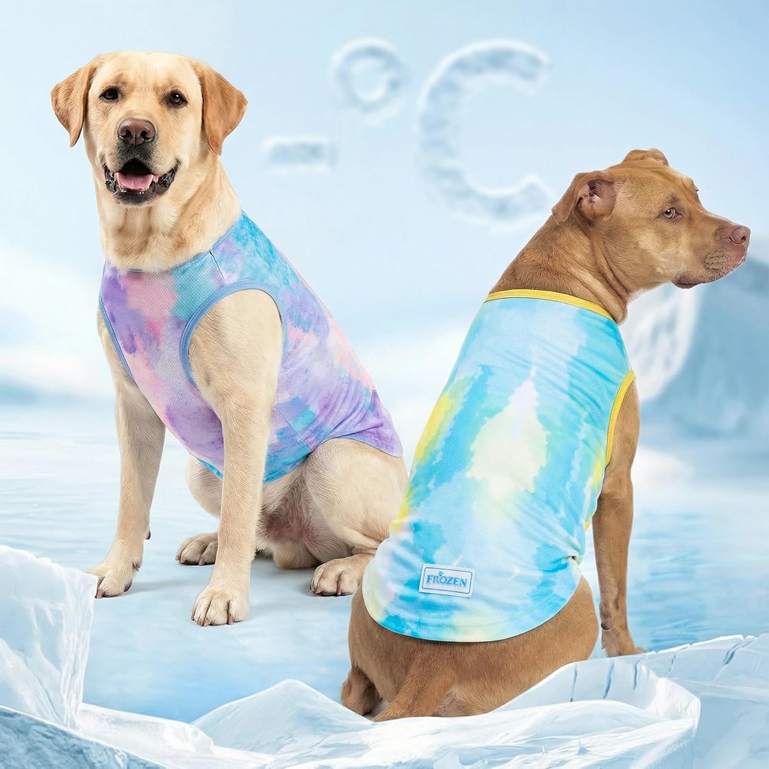 image:imageKYEESE 2Pack Dog Cooling Shirt Breathable Dog Shirt for Small Dogs Sun Protection Dogs Cooling Vest Tank Top Lightweight Soft Sleeveless Summer Pet Clothes DuckBlue MPurpleBlue