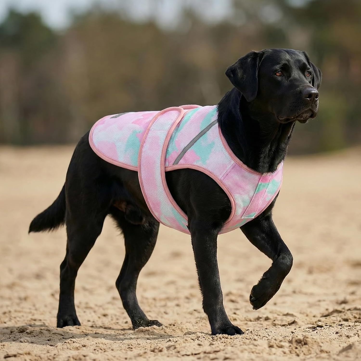 image:imageKYEESE Dog Cooling Vest Lightweight Dog Cooler Jacket 3D Breathable Mesh Pet Cooling Shirts for Summer with Reflective Stripe Sun Protection Pet T Shirt for Beach Hiking Walking Blue LPink