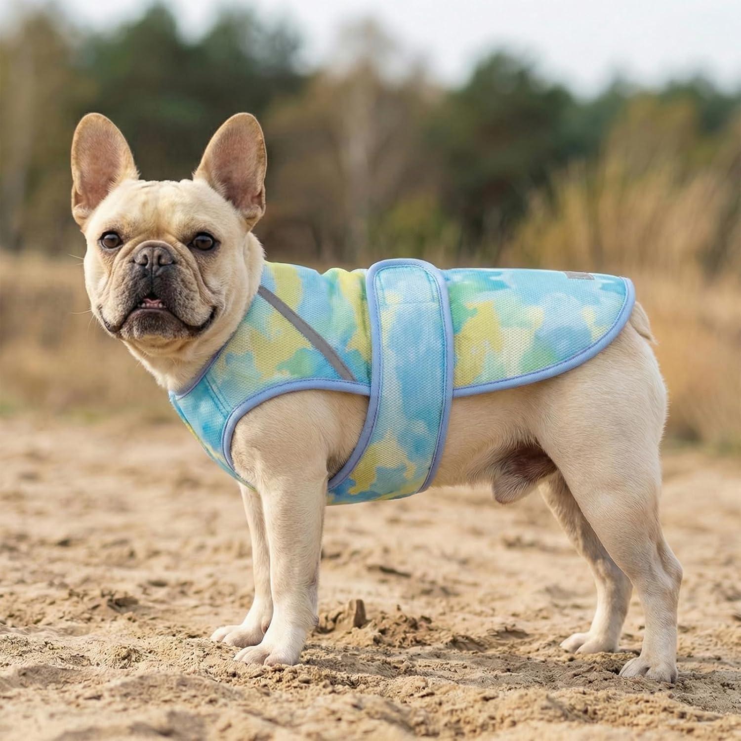 image:imageKYEESE Dog Cooling Vest Lightweight Dog Cooler Jacket 3D Breathable Mesh Pet Cooling Shirts for Summer with Reflective Stripe Sun Protection Pet T Shirt for Beach Hiking Walking Blue LBlue
