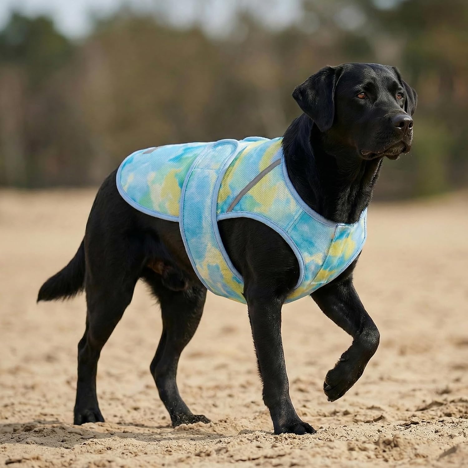 image:imageKYEESE Dog Cooling Vest Lightweight Dog Cooler Jacket 3D Breathable Mesh Pet Cooling Shirts for Summer with Reflective Stripe Sun Protection Pet T Shirt for Beach Hiking Walking Blue LBlue